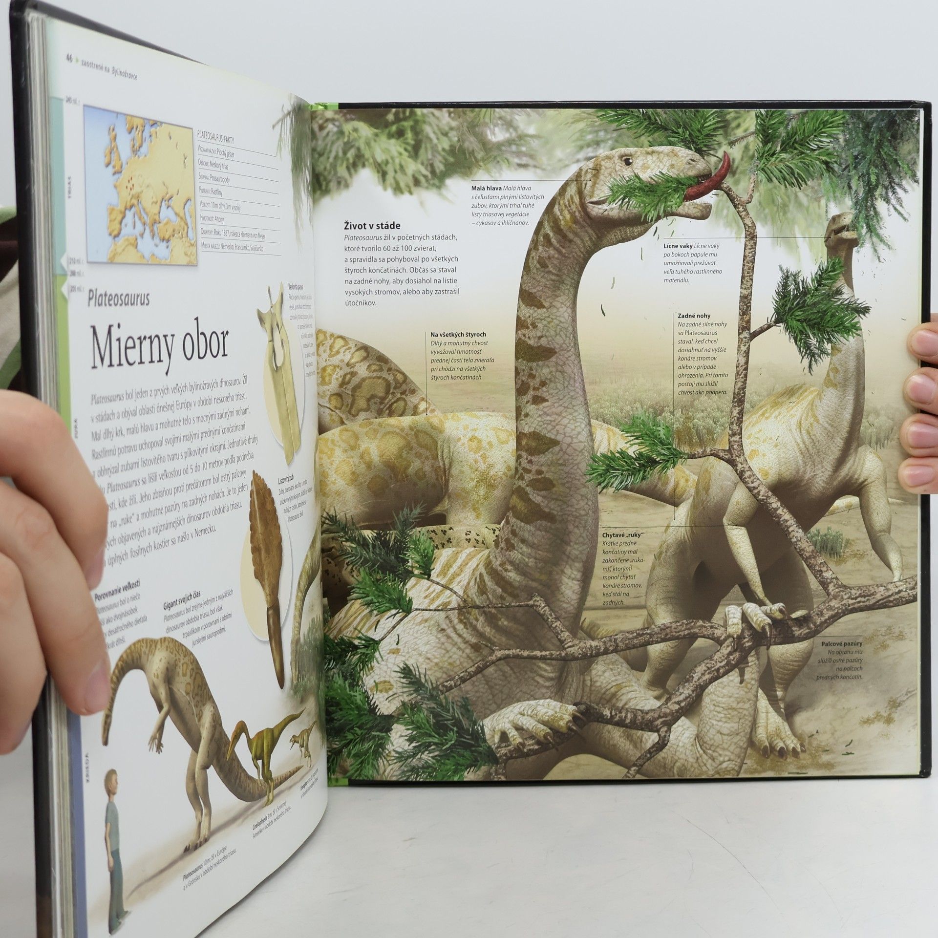 kolektiv Dinosaury