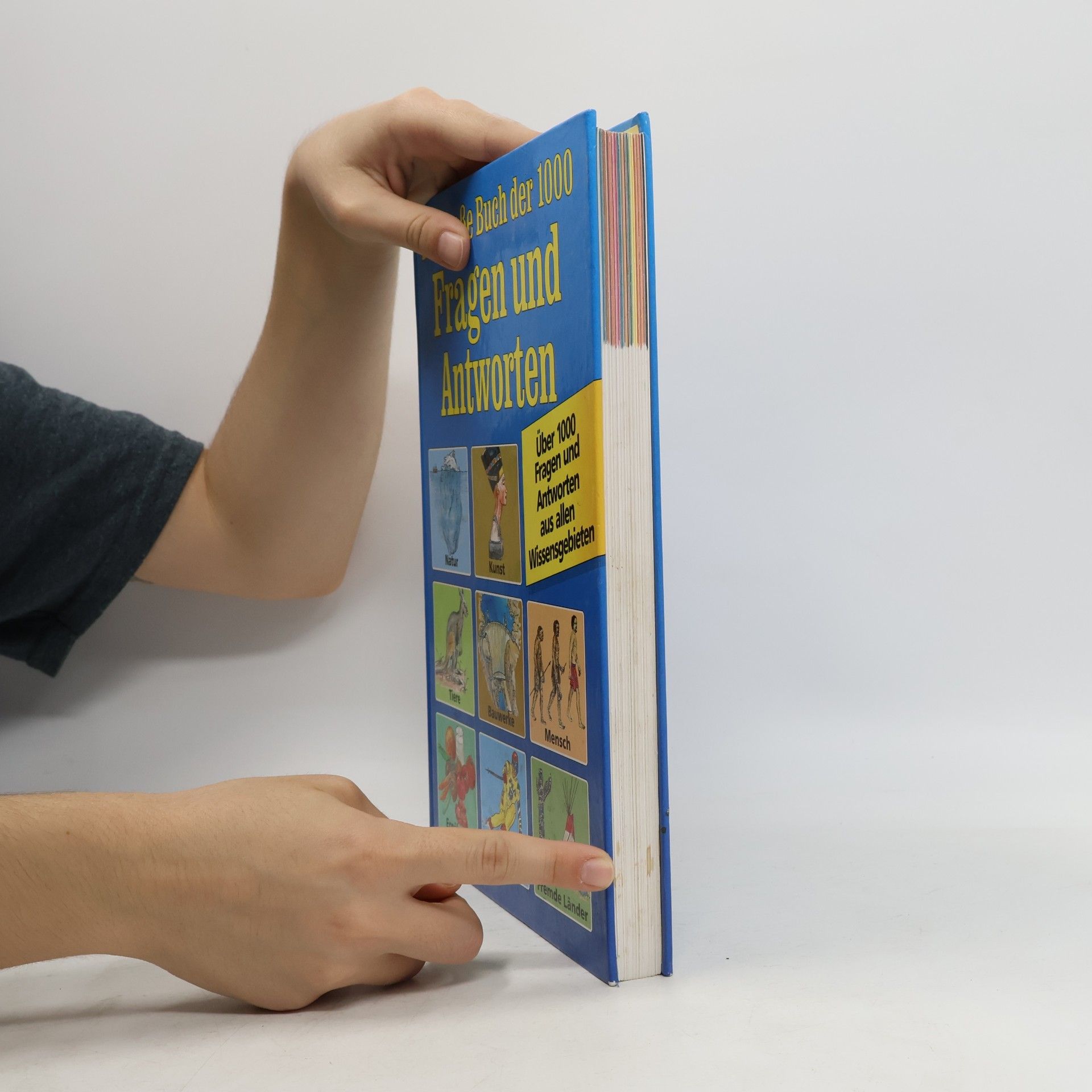 Michael Hofbauer Das grosse Buch der 1000 Fragen und Antworten