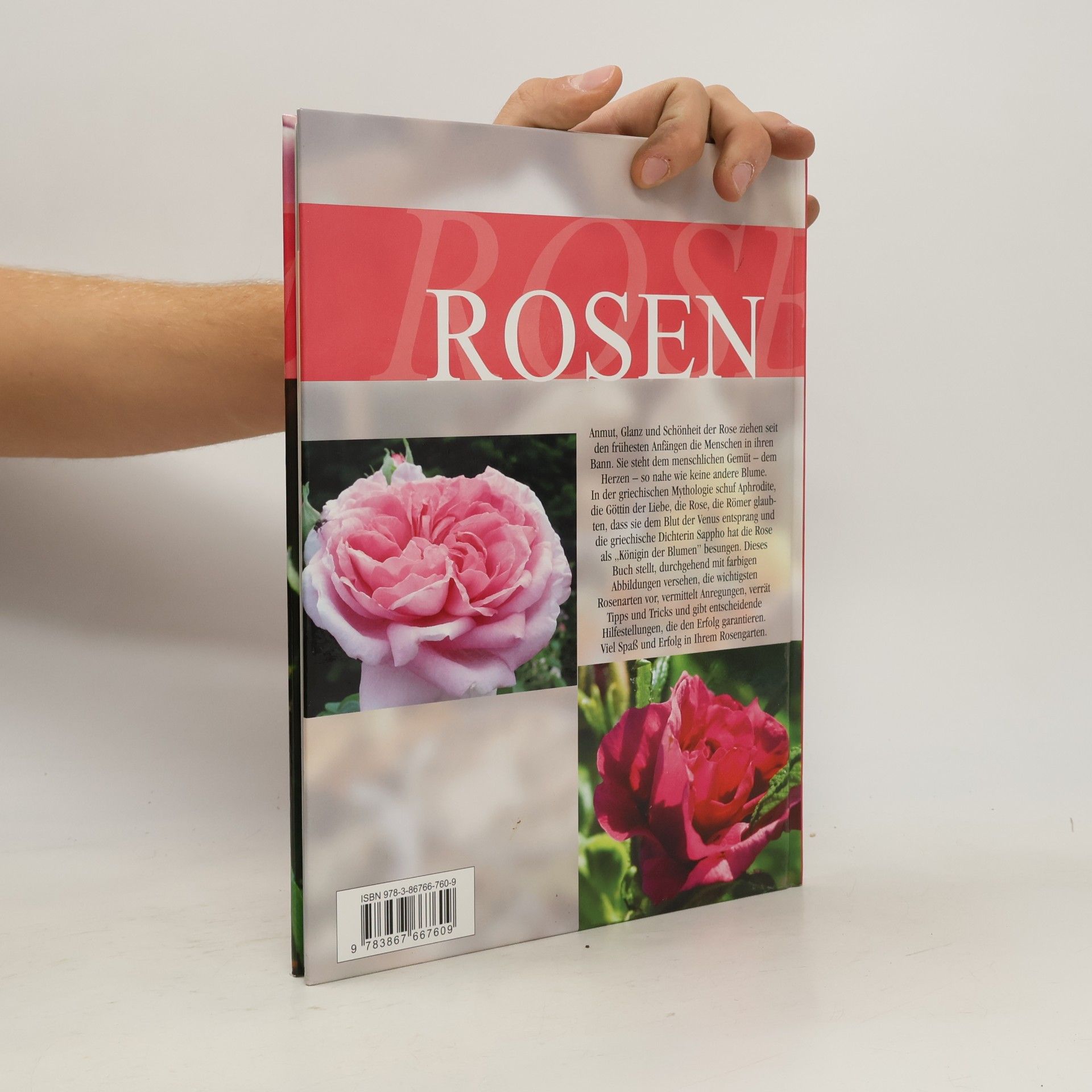 Rosen