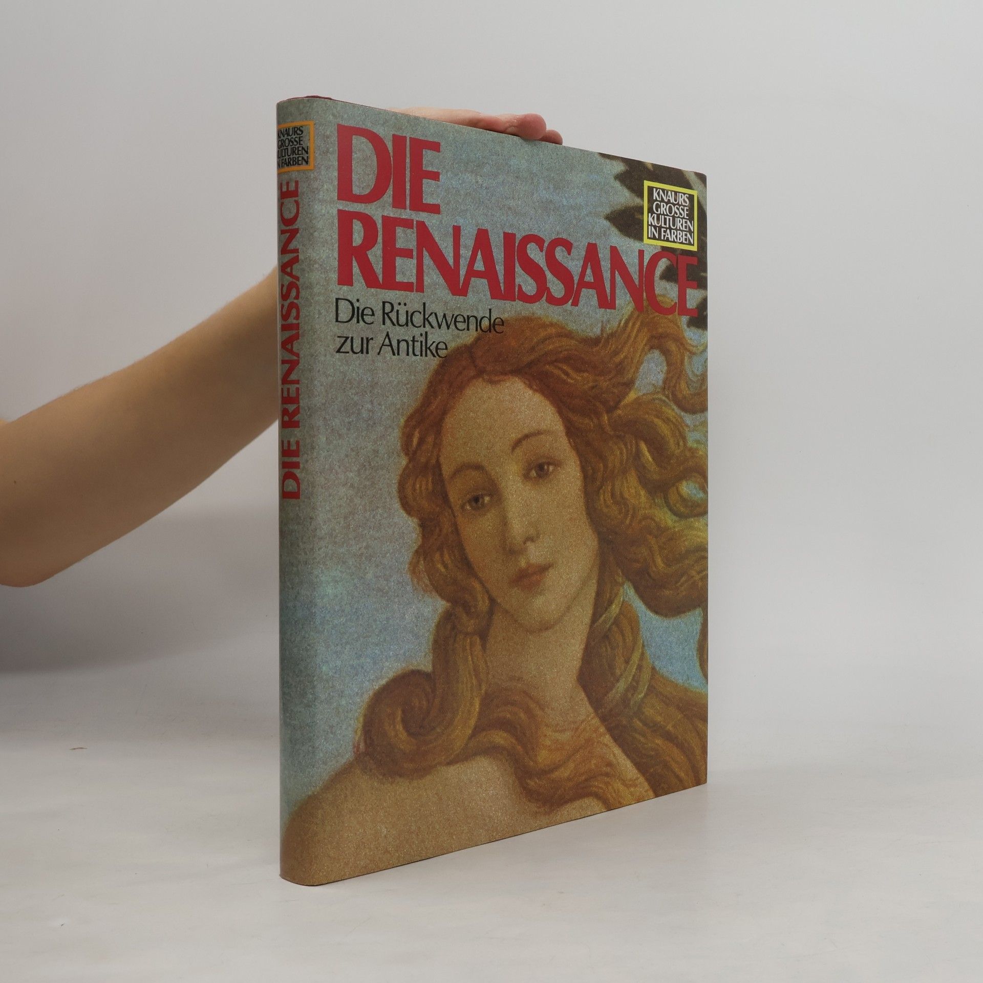 Kolektiv autorů Die Renaissance. Die Rückwende zur Antike