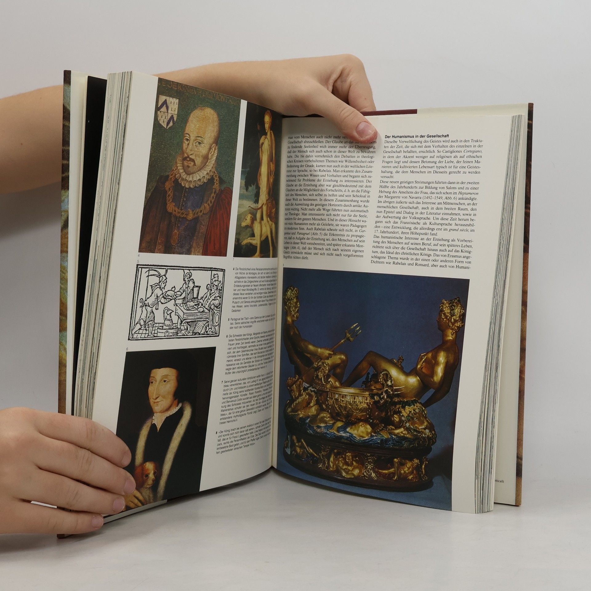 Kolektiv autorů Die Renaissance. Die Rückwende zur Antike