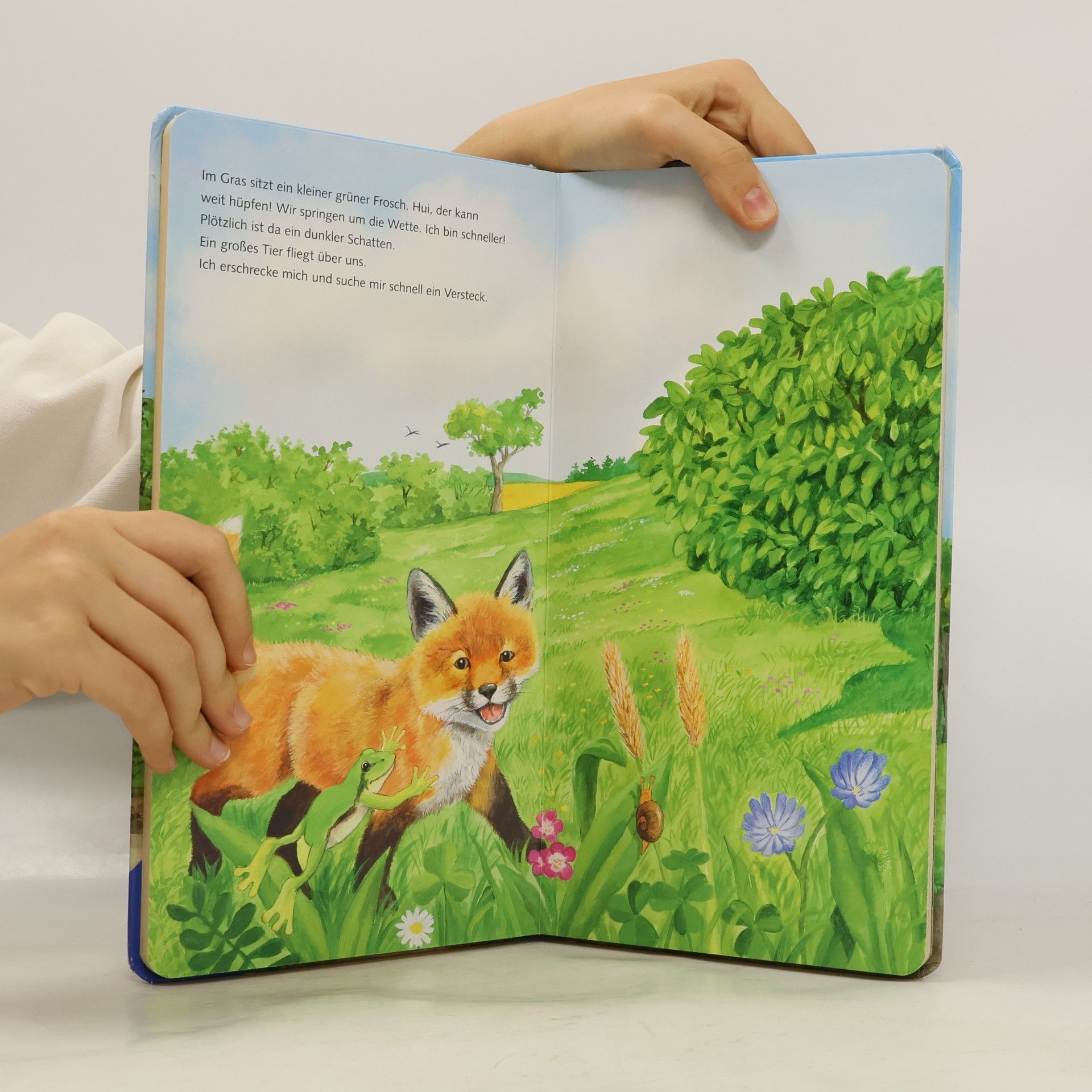 Ana Weller Ich bin der kleine Fuchs