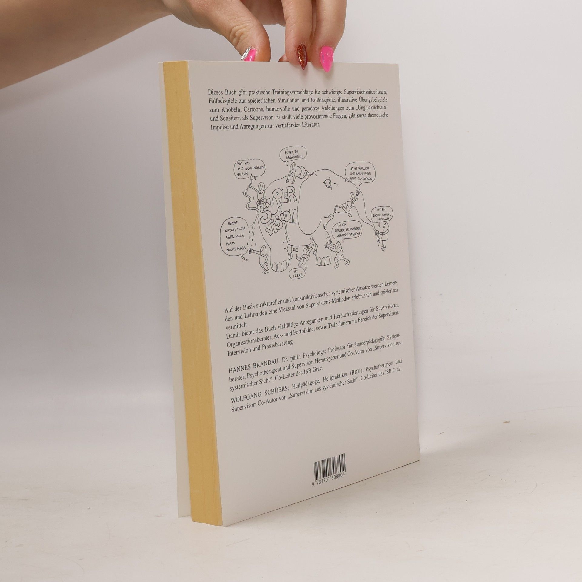 Hannes Brandau Spiel- und Übungsbuch zur Supervision