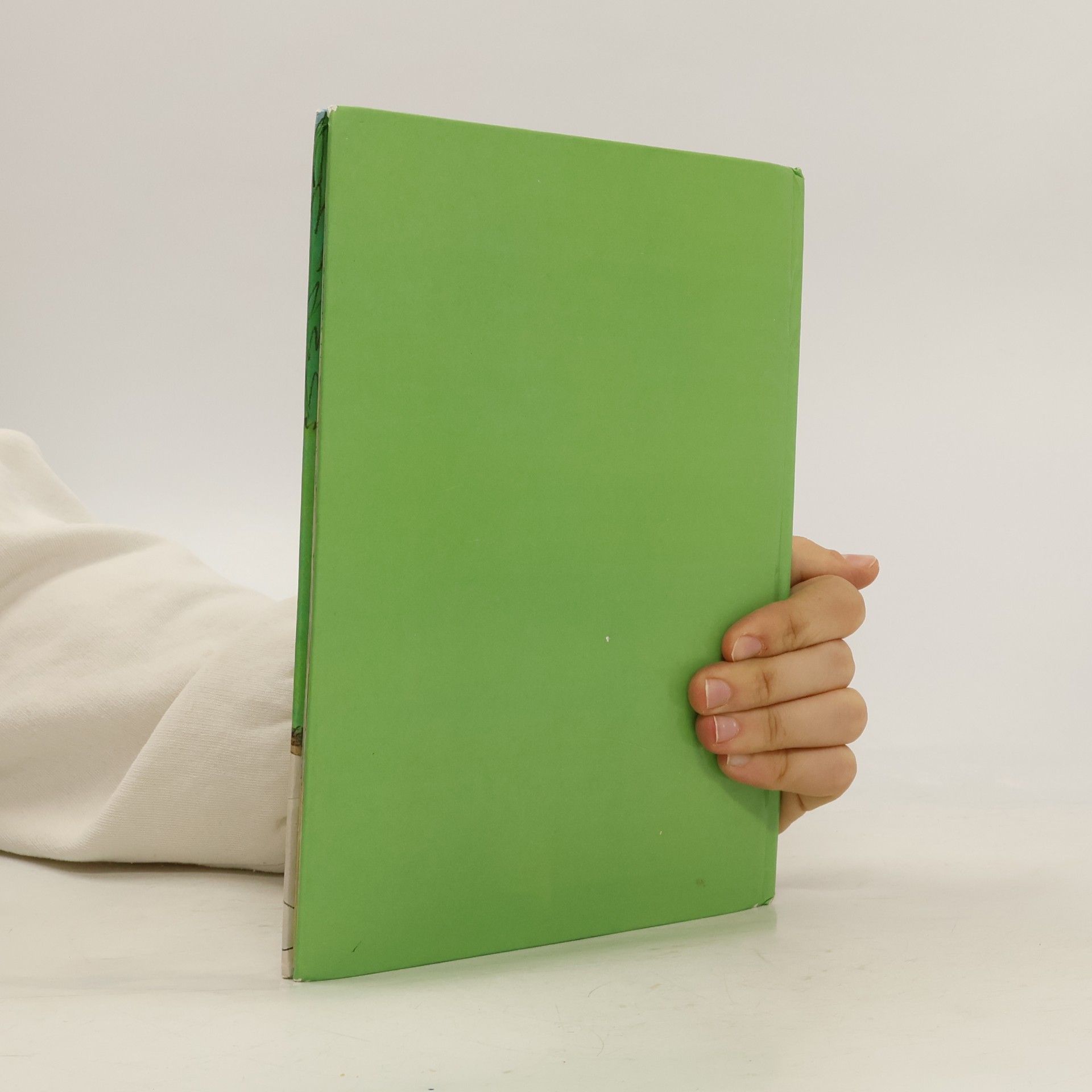 Various authors Strolchi Vaters Sohn