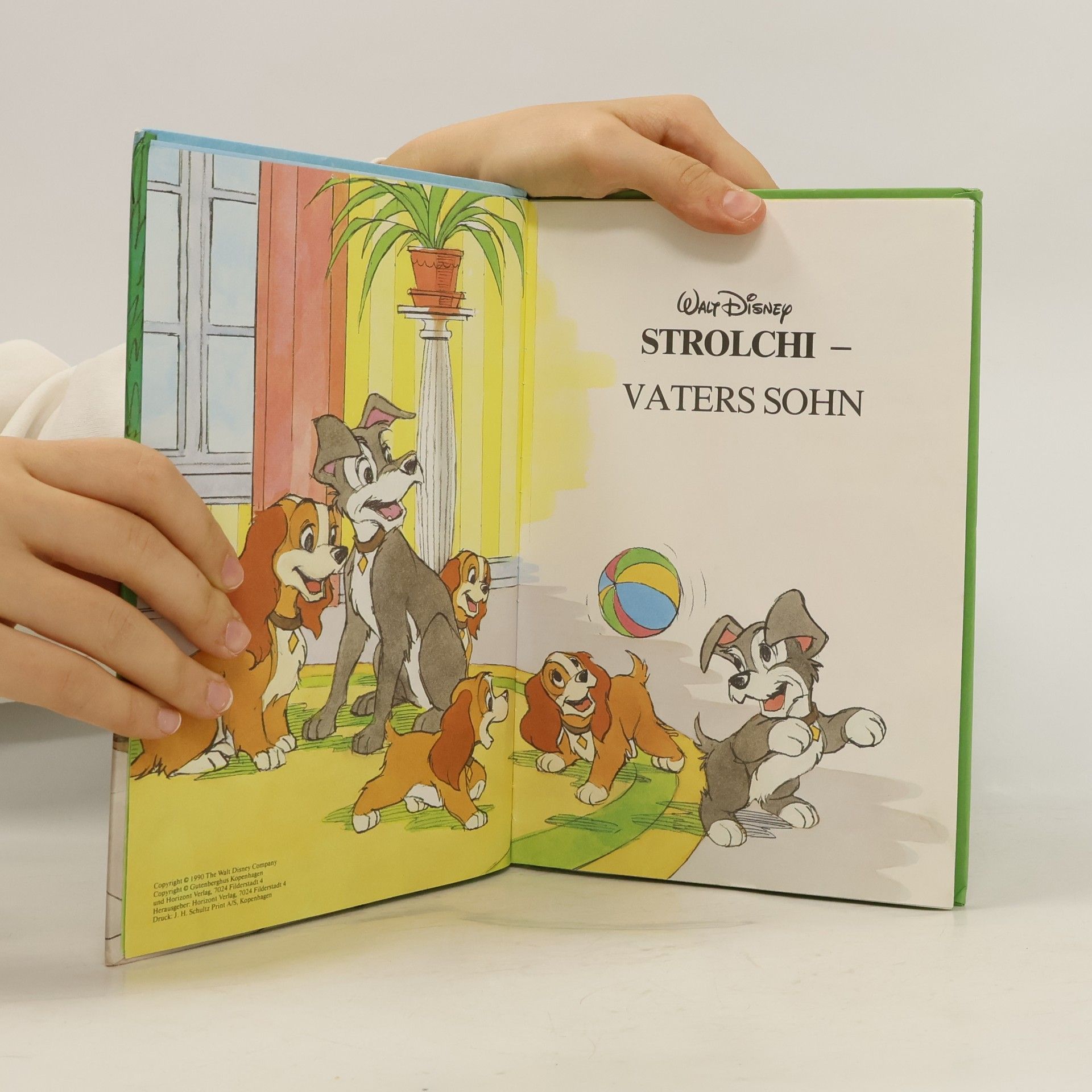 Various authors Strolchi Vaters Sohn