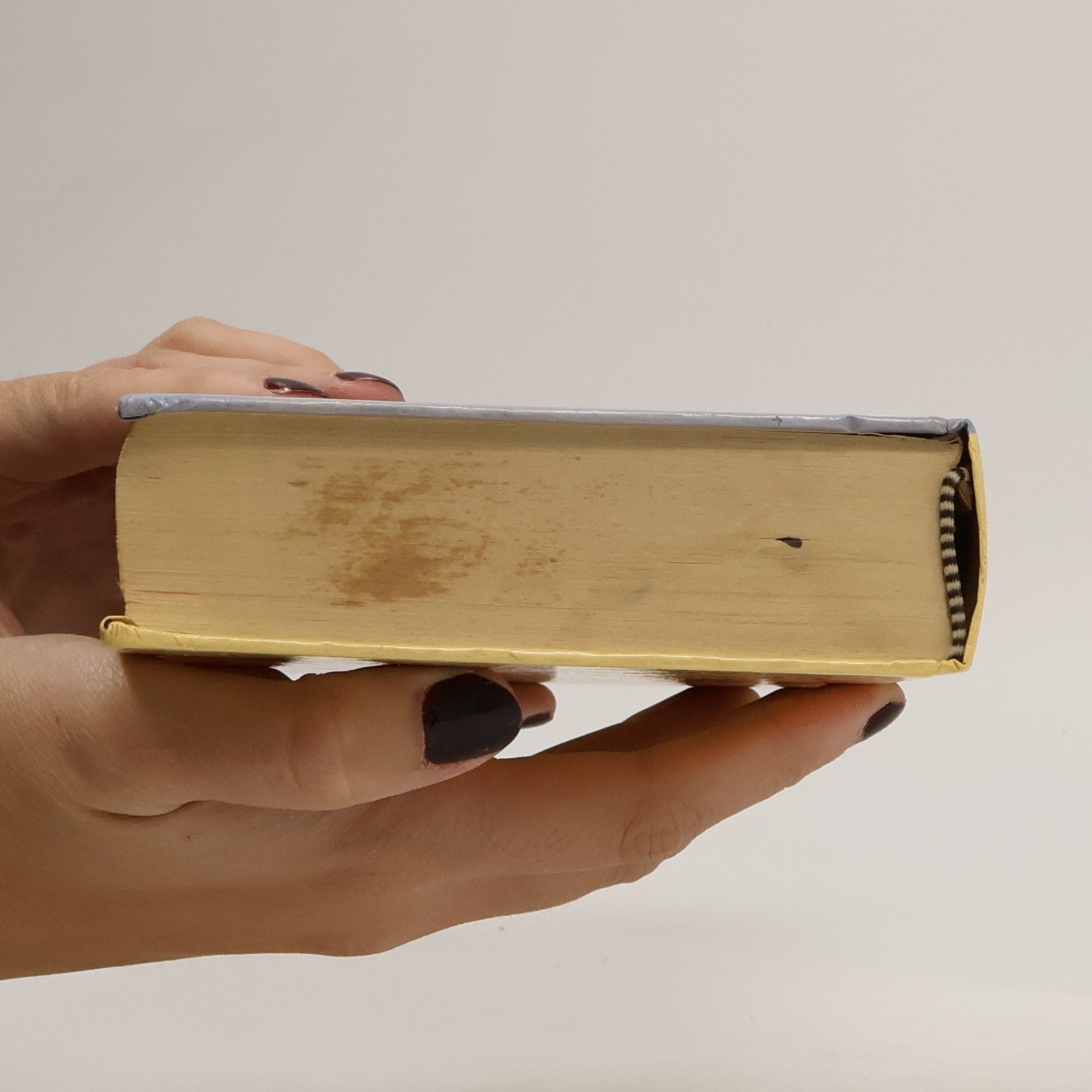 Autorenkollektiv Mein Glück macht grosse Sprünge