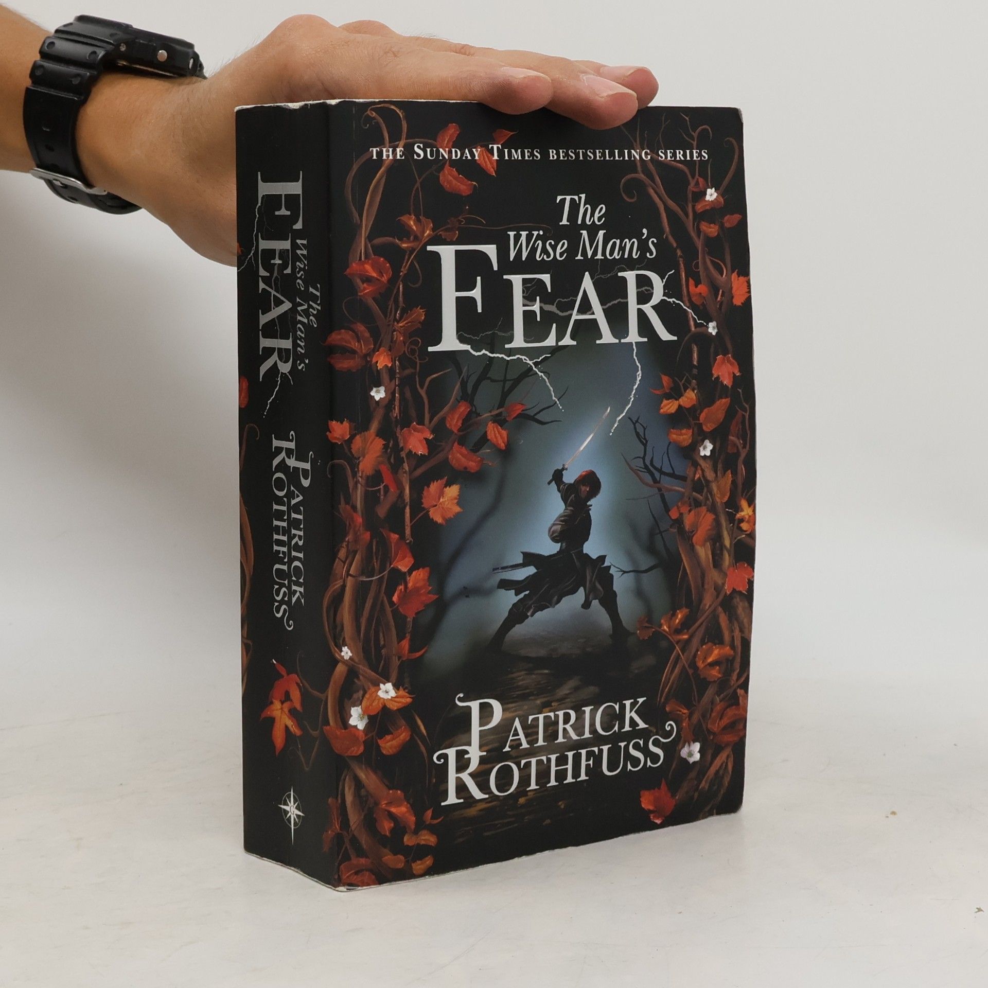 The Wise Man's Fear