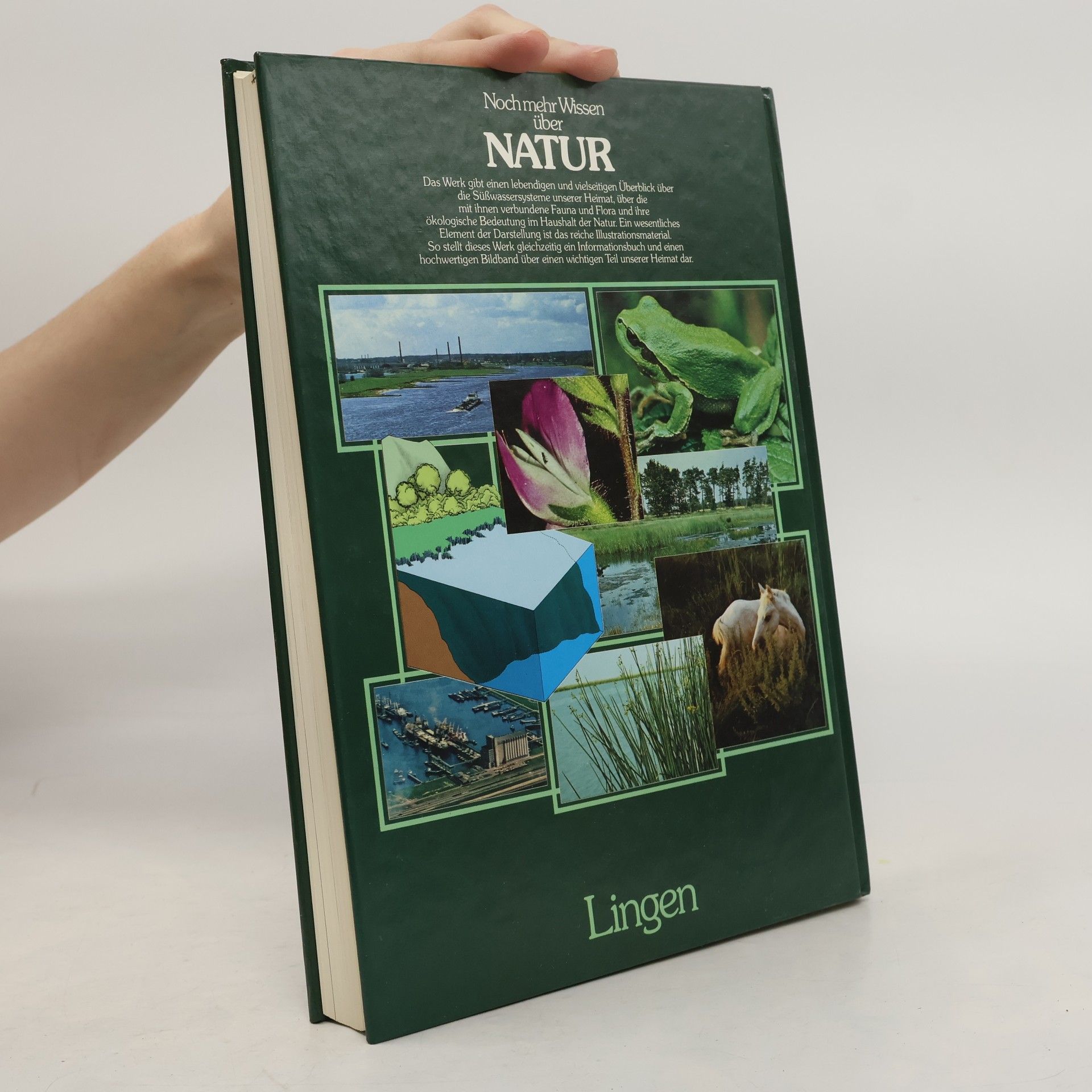 Kolektiv autorů Noch mehr Wissen über Natur. Seen und Flüsse