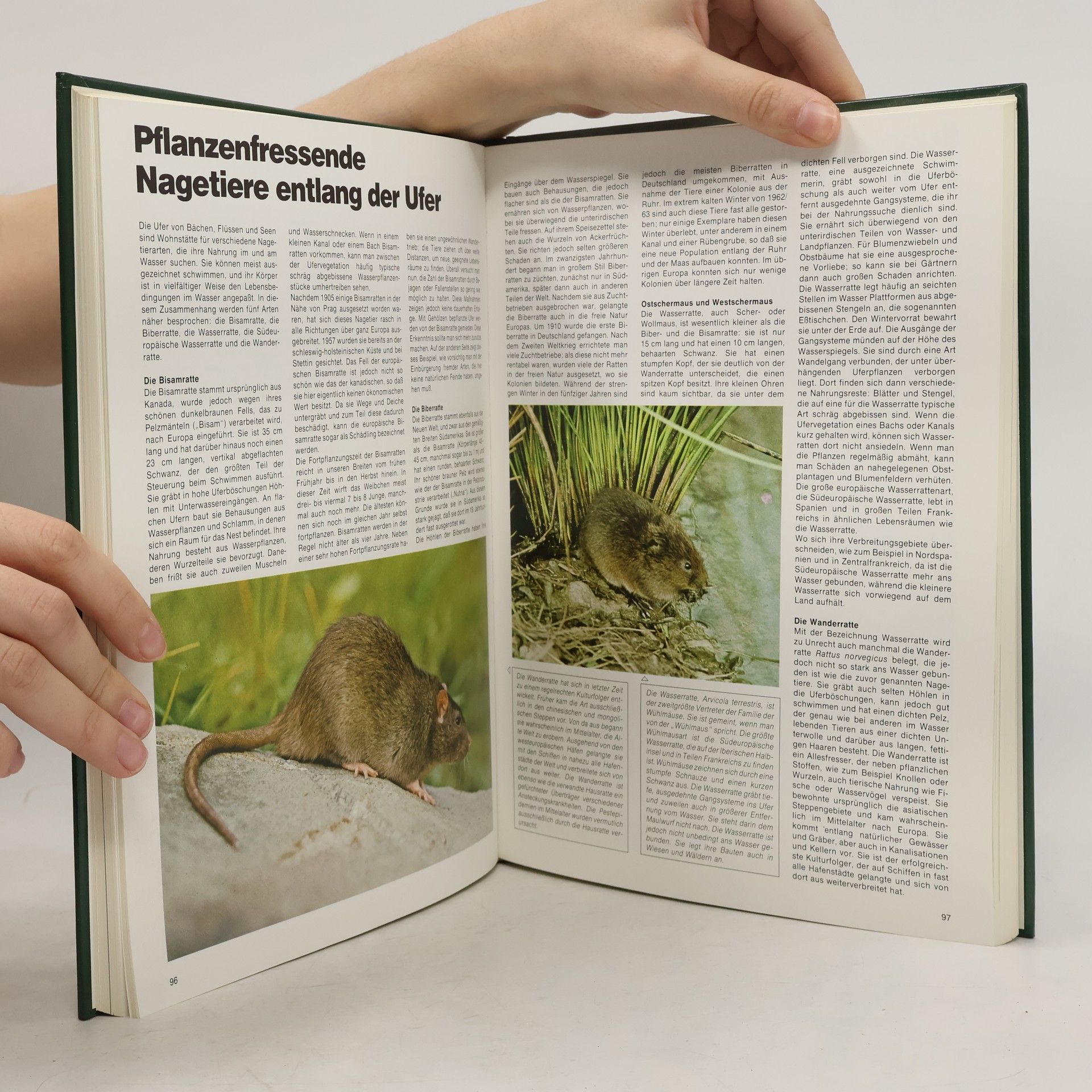 Kolektiv autorů Noch mehr Wissen über Natur. Seen und Flüsse