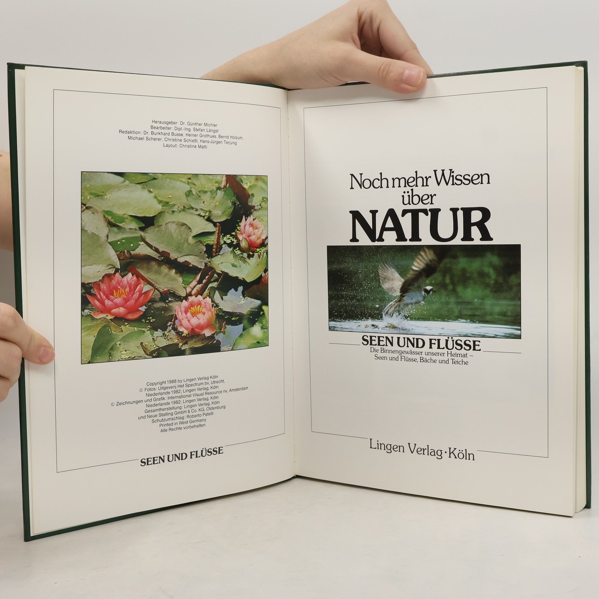 Kolektiv autorů Noch mehr Wissen über Natur. Seen und Flüsse