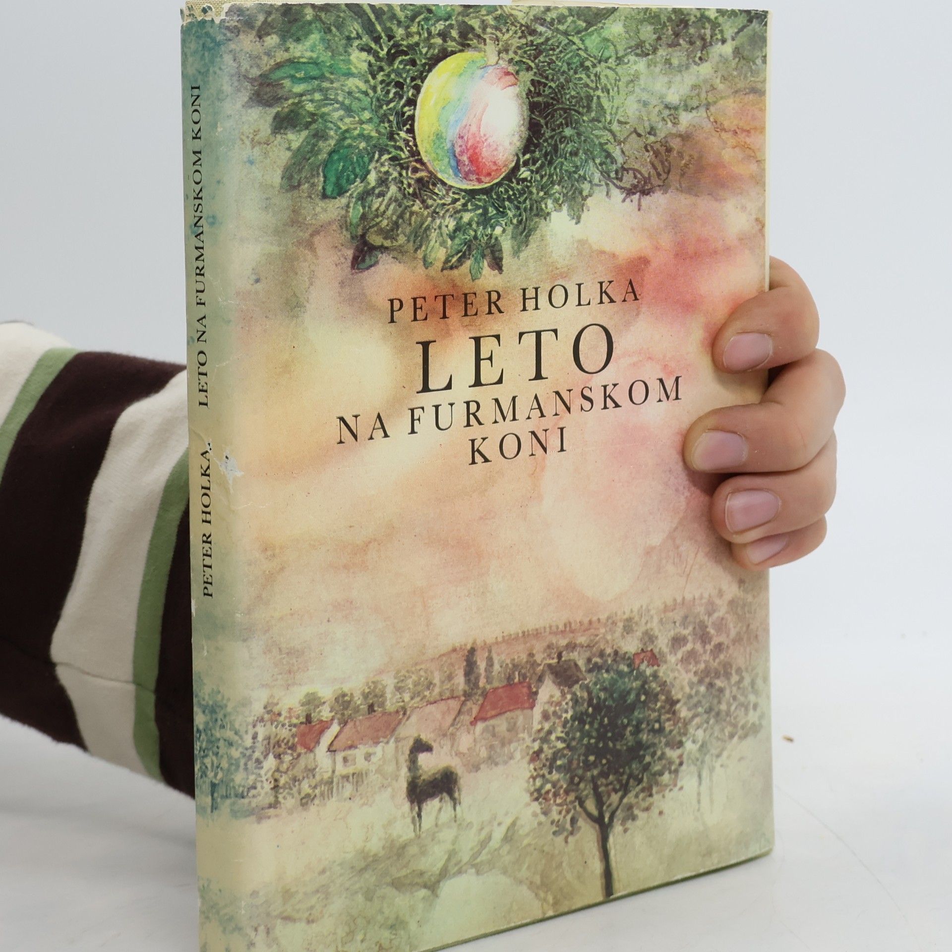 Leto na furmanskom koni