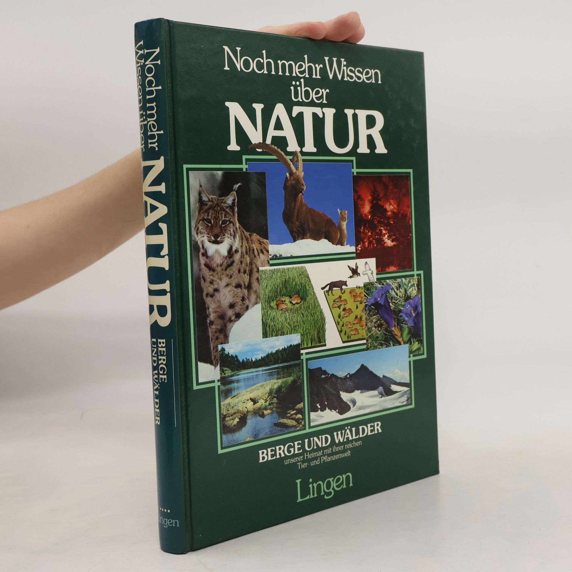 Autorenkollektiv Noch mehr Wissen über Natur. Berge und Wälder