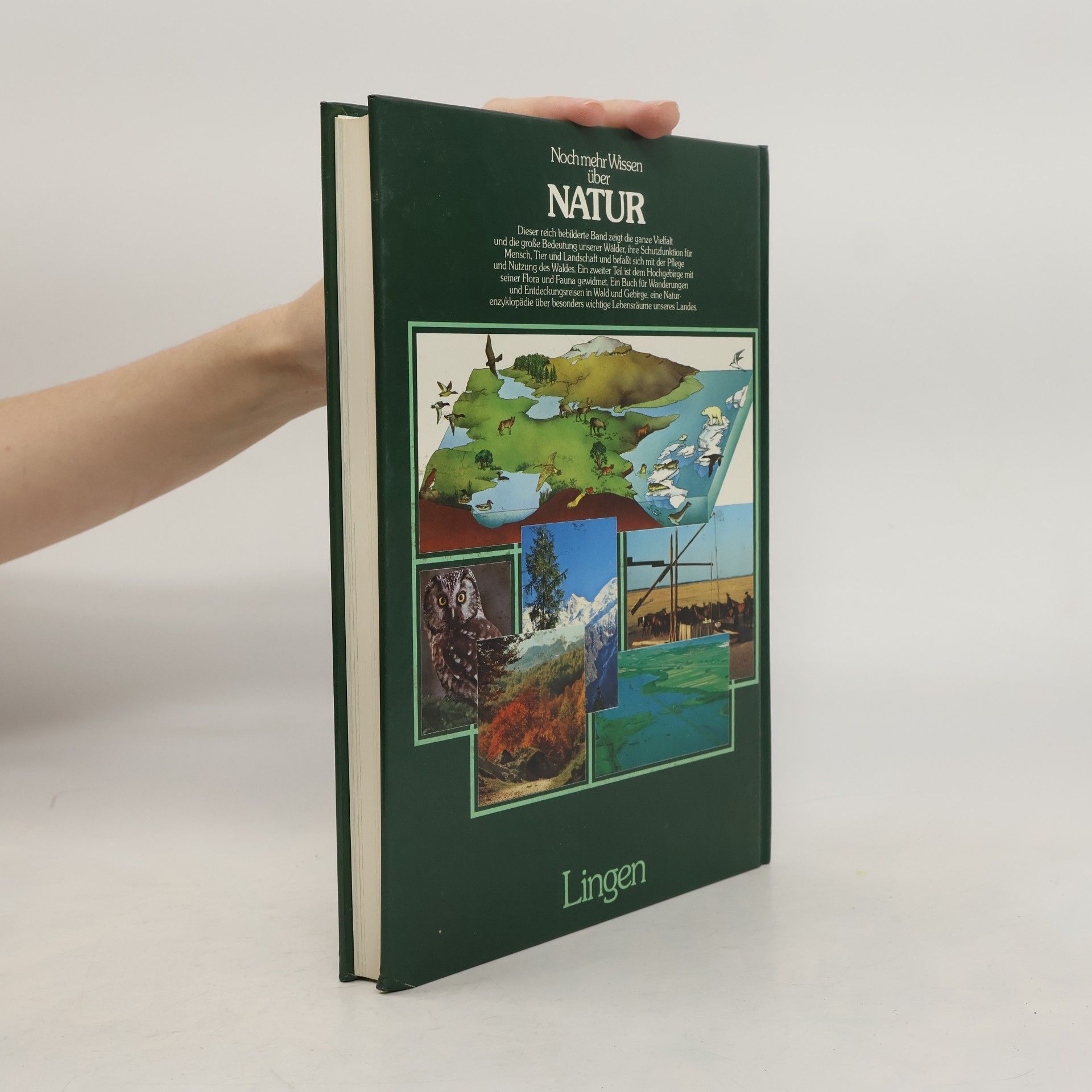 Various authors Noch mehr Wissen über Natur. Berge und Wälder