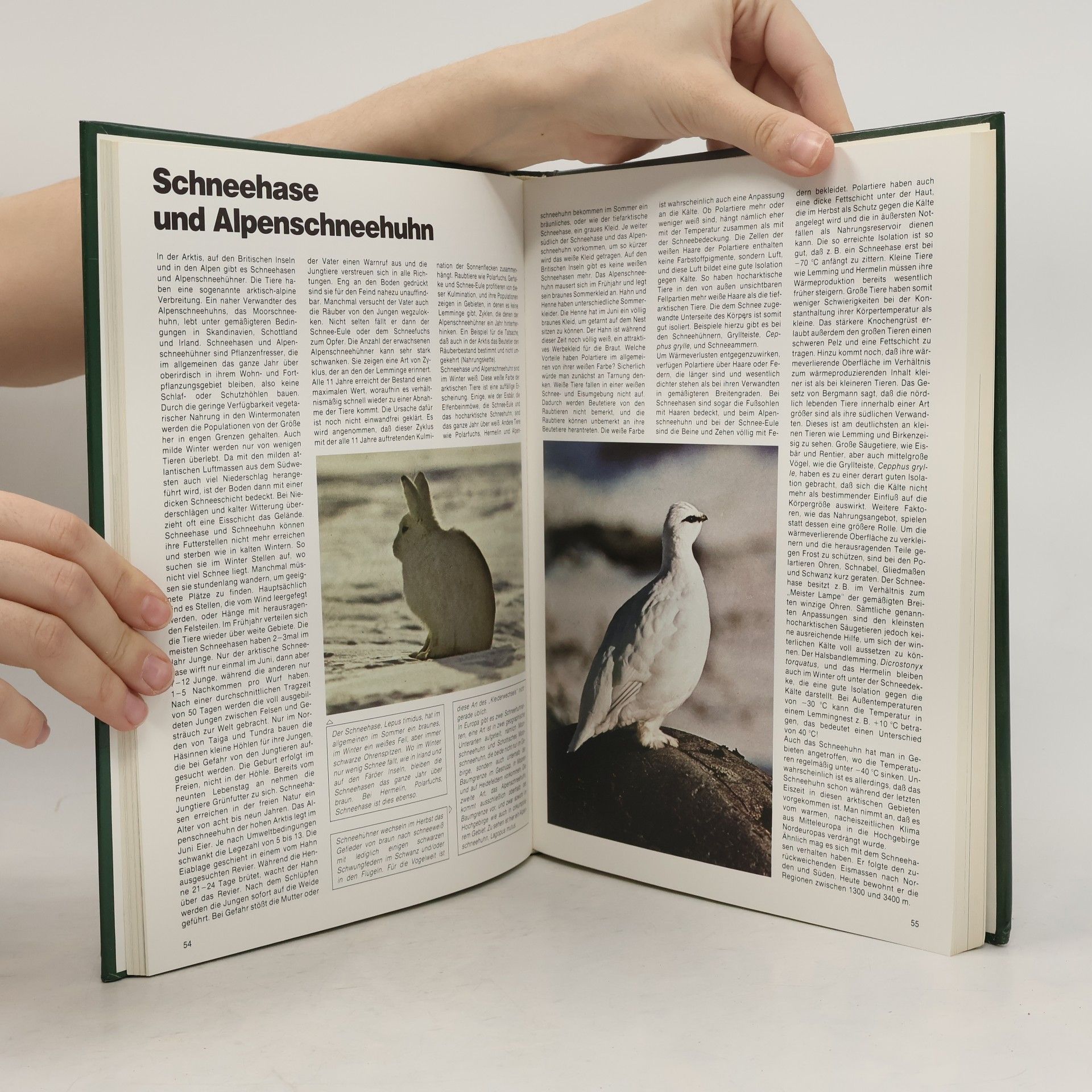 Various authors Noch mehr Wissen über Natur. Berge und Wälder