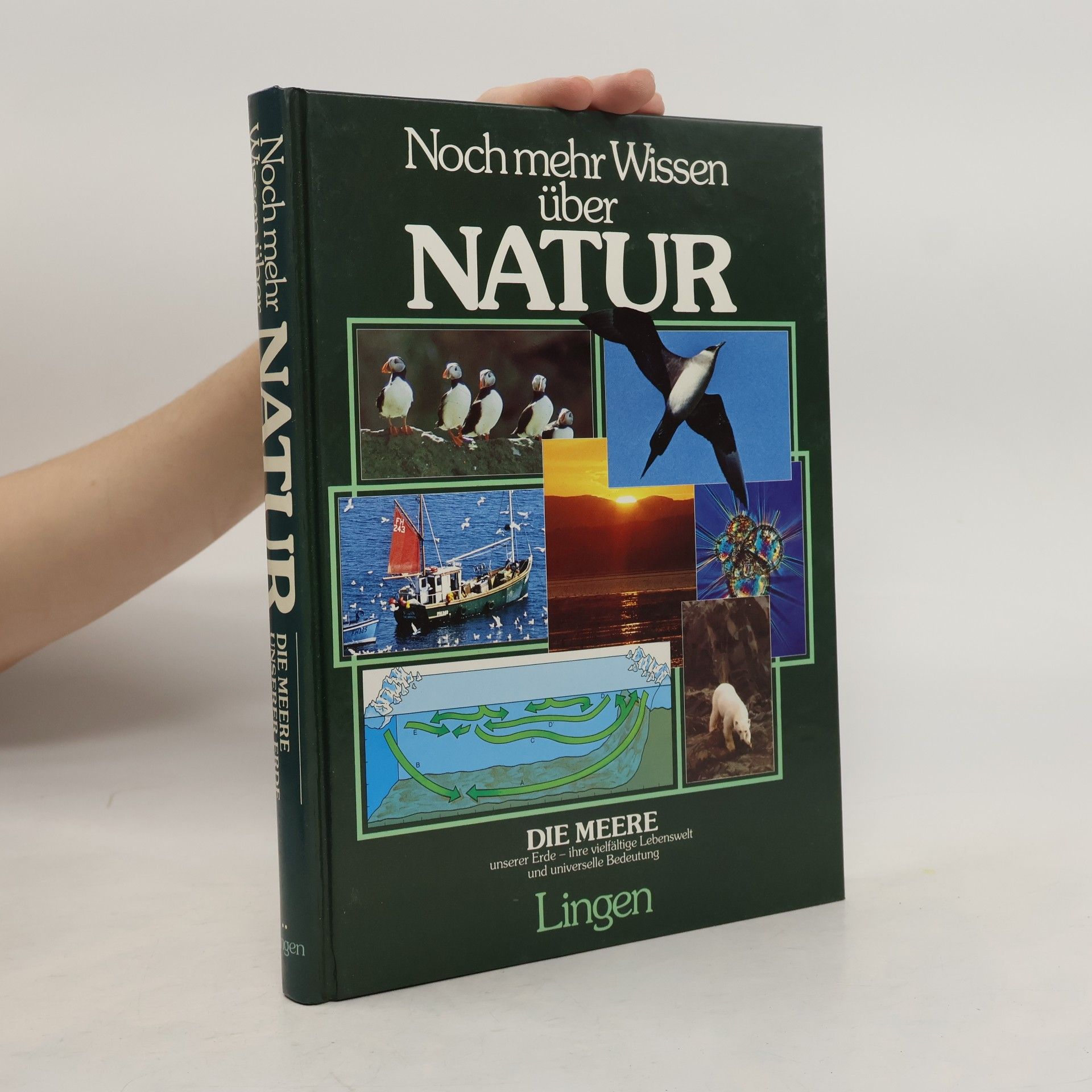 Autorenkollektiv Noch mehr Wissen über Natur. Die Meere
