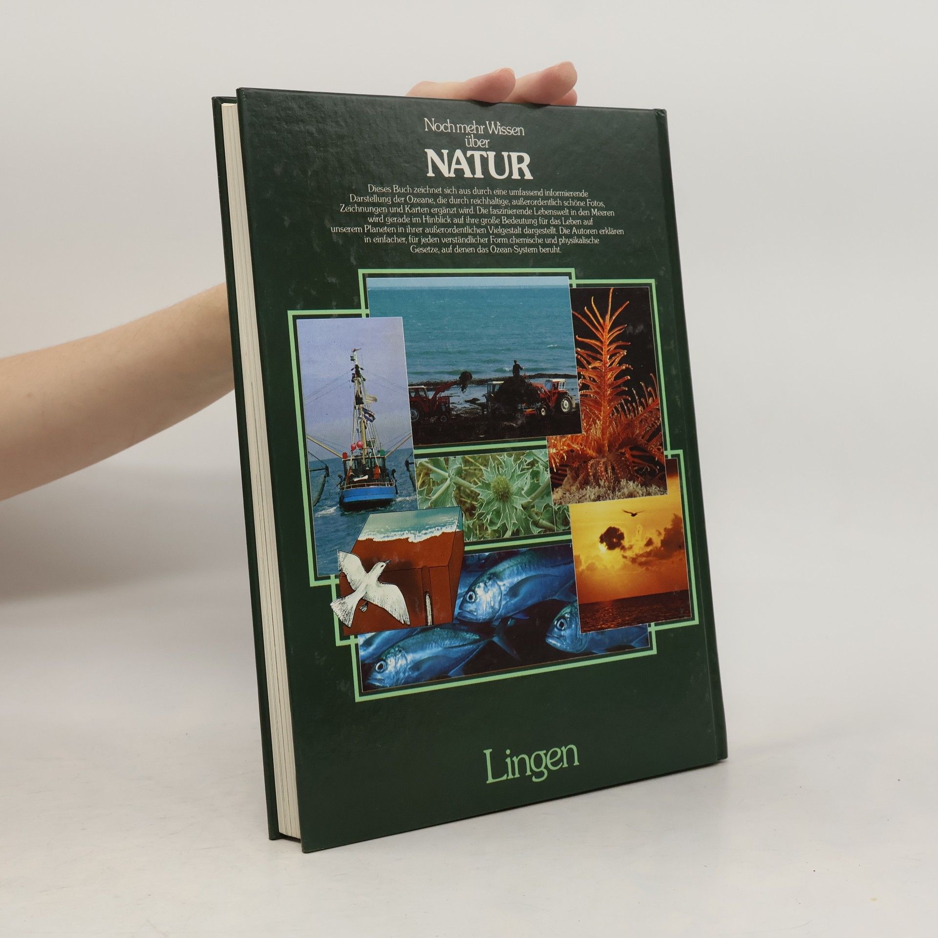 Autorenkollektiv Noch mehr Wissen über Natur. Die Meere