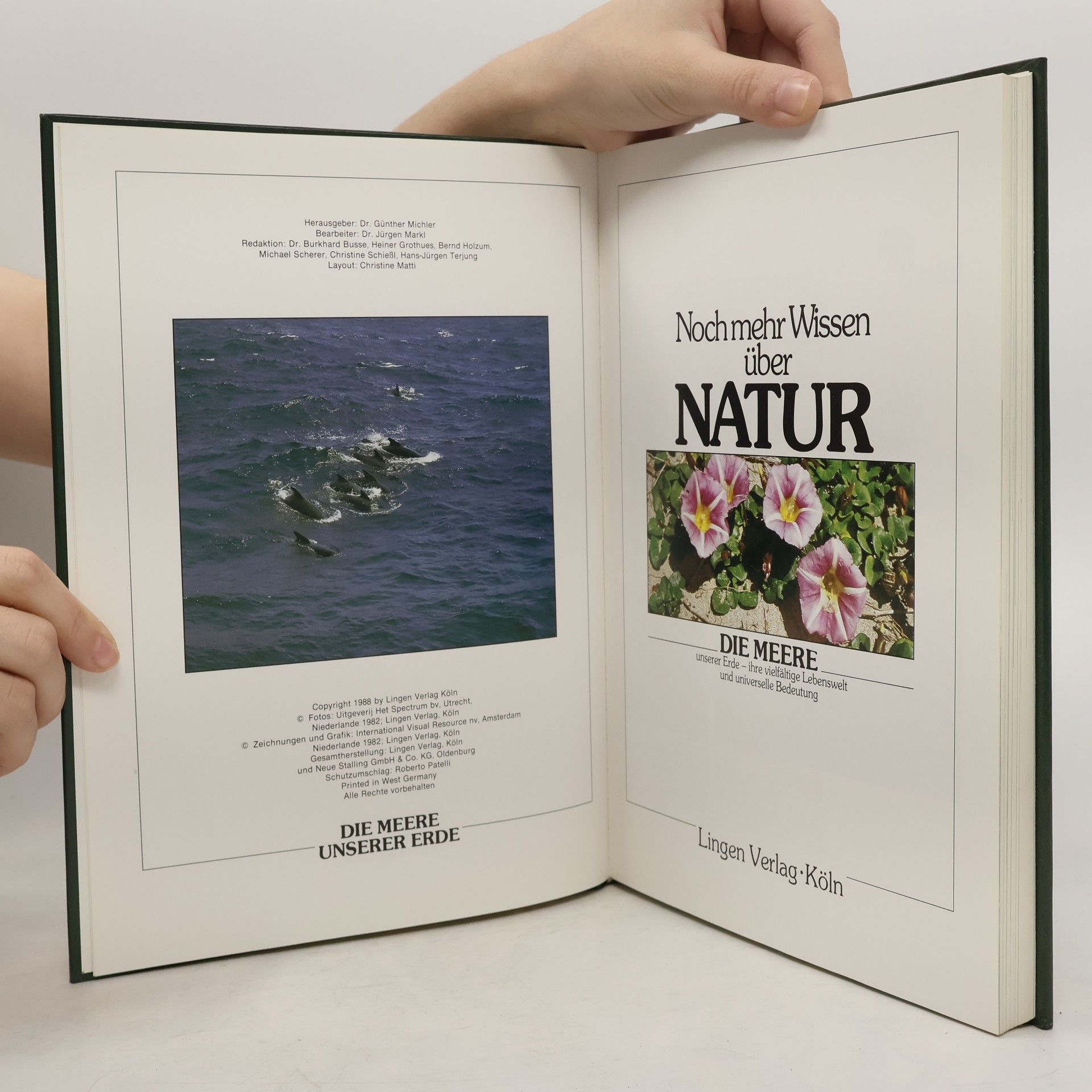 Autorenkollektiv Noch mehr Wissen über Natur. Die Meere