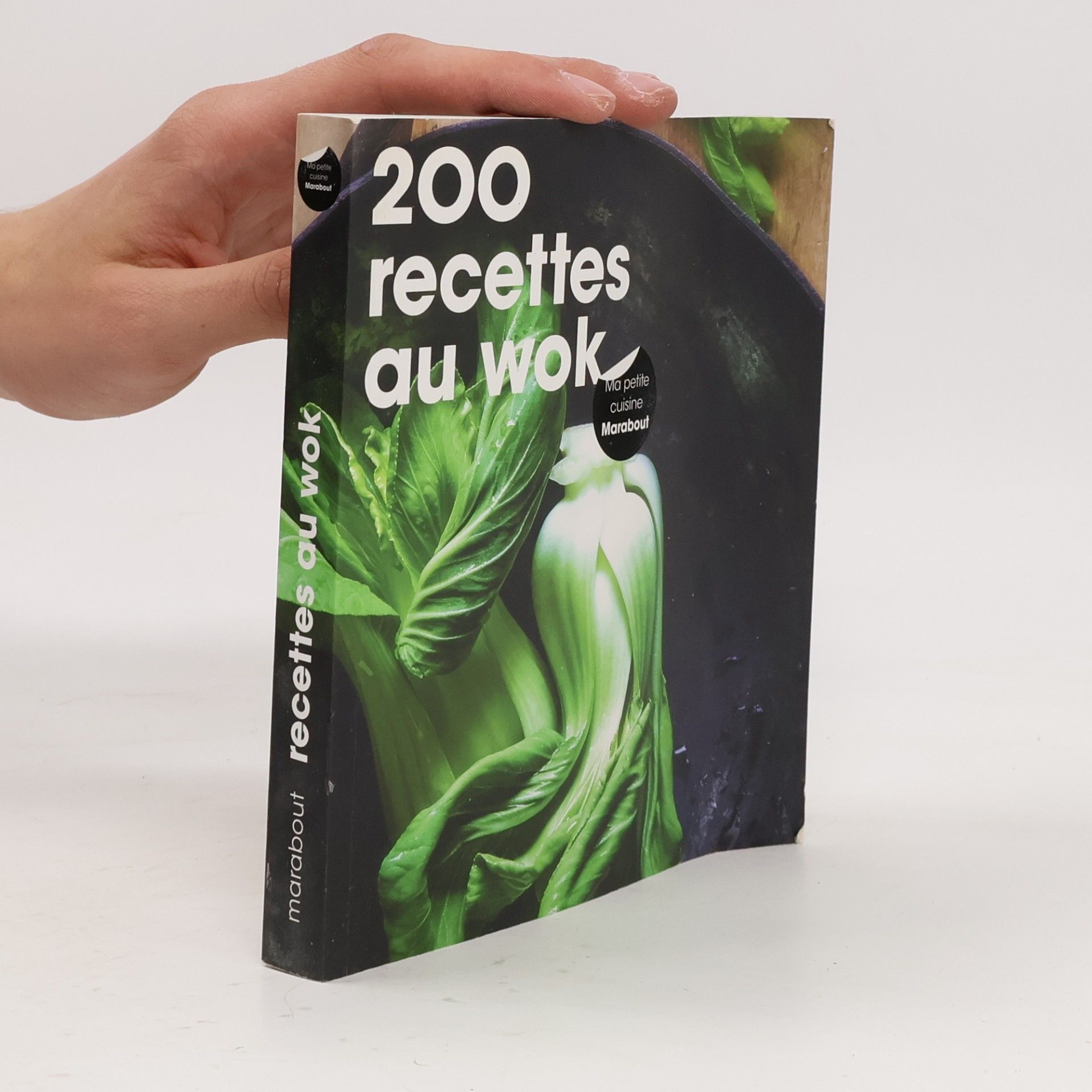 Marina Filippelli Ma petite cuisine: 200 recettes au wok