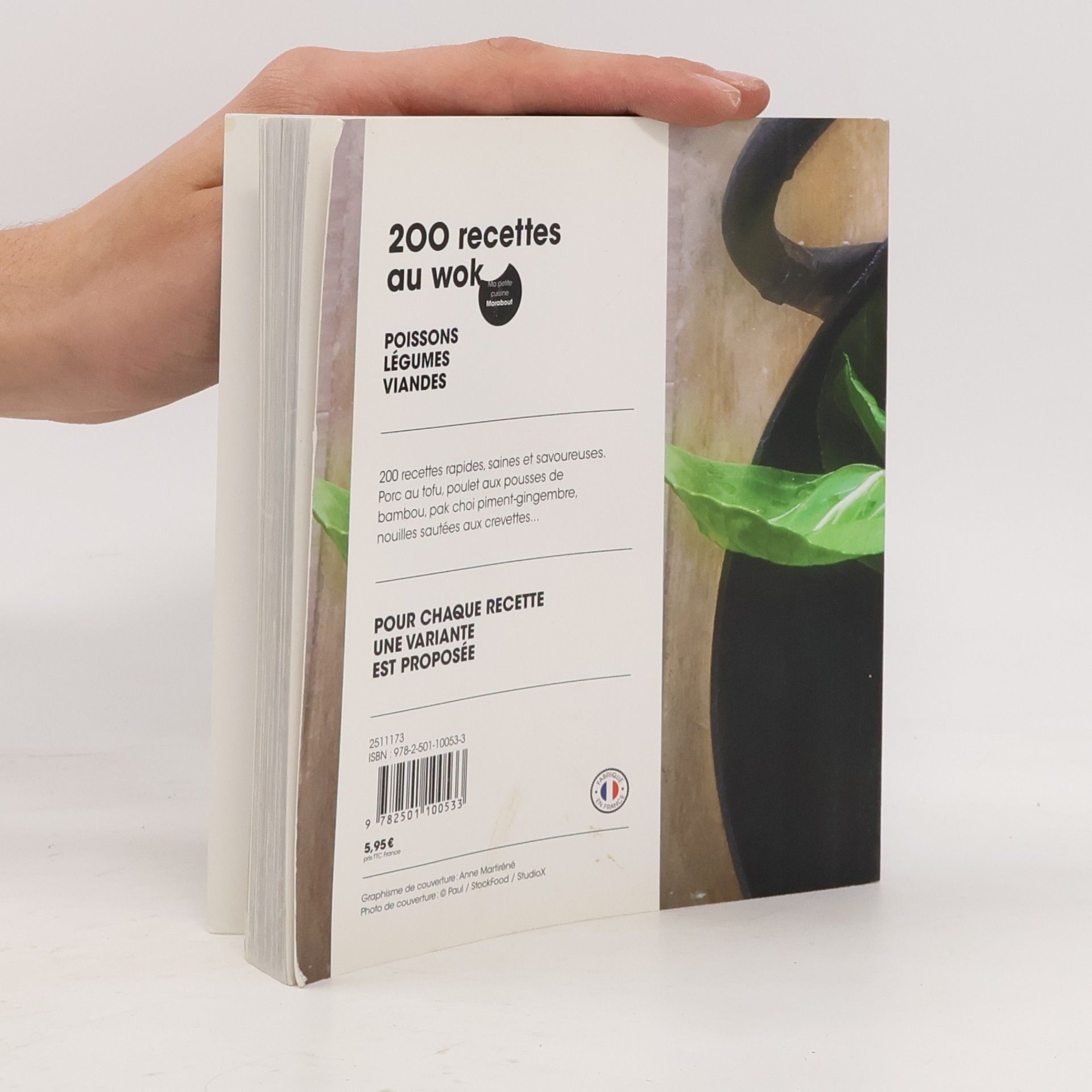 Marina Filippelli Ma petite cuisine: 200 recettes au wok