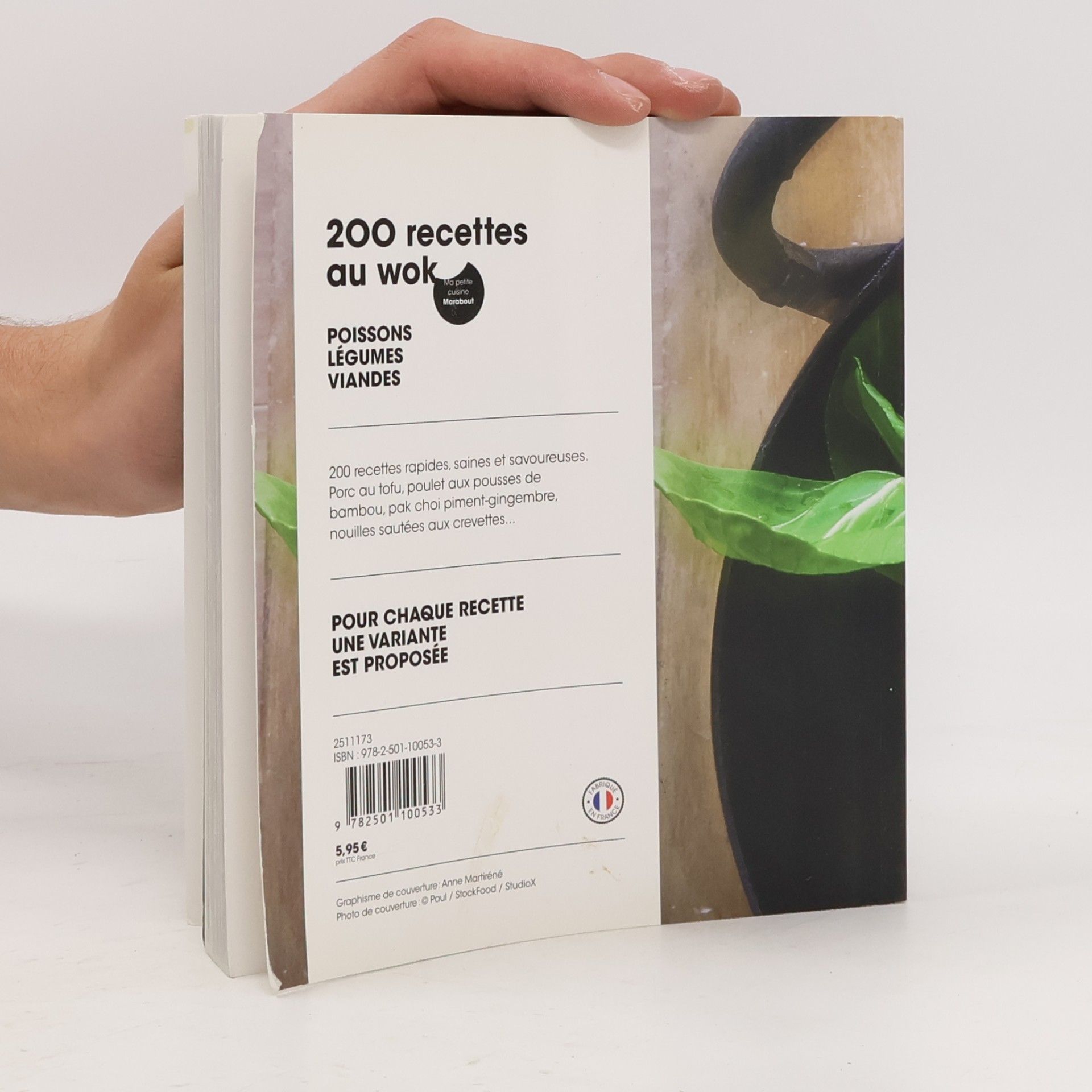 Marina Filippelli Ma petite cuisine: 200 recettes au wok