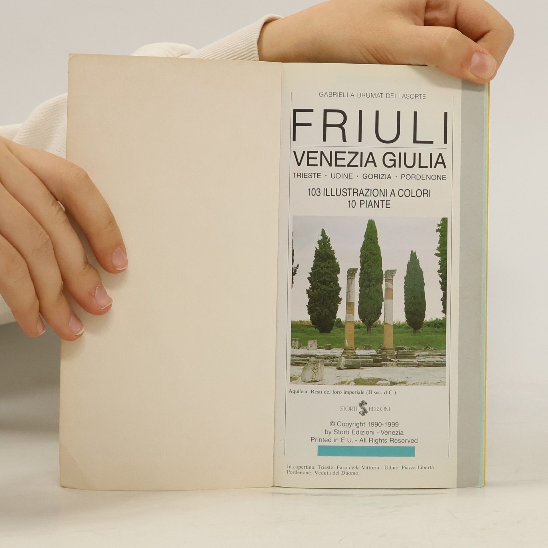 Gabriella Brumat Dellasorte Gialla: Friuli Venezia Giulia. Trieste, Udine, Gorizia, Pordenone - Nuova edizione