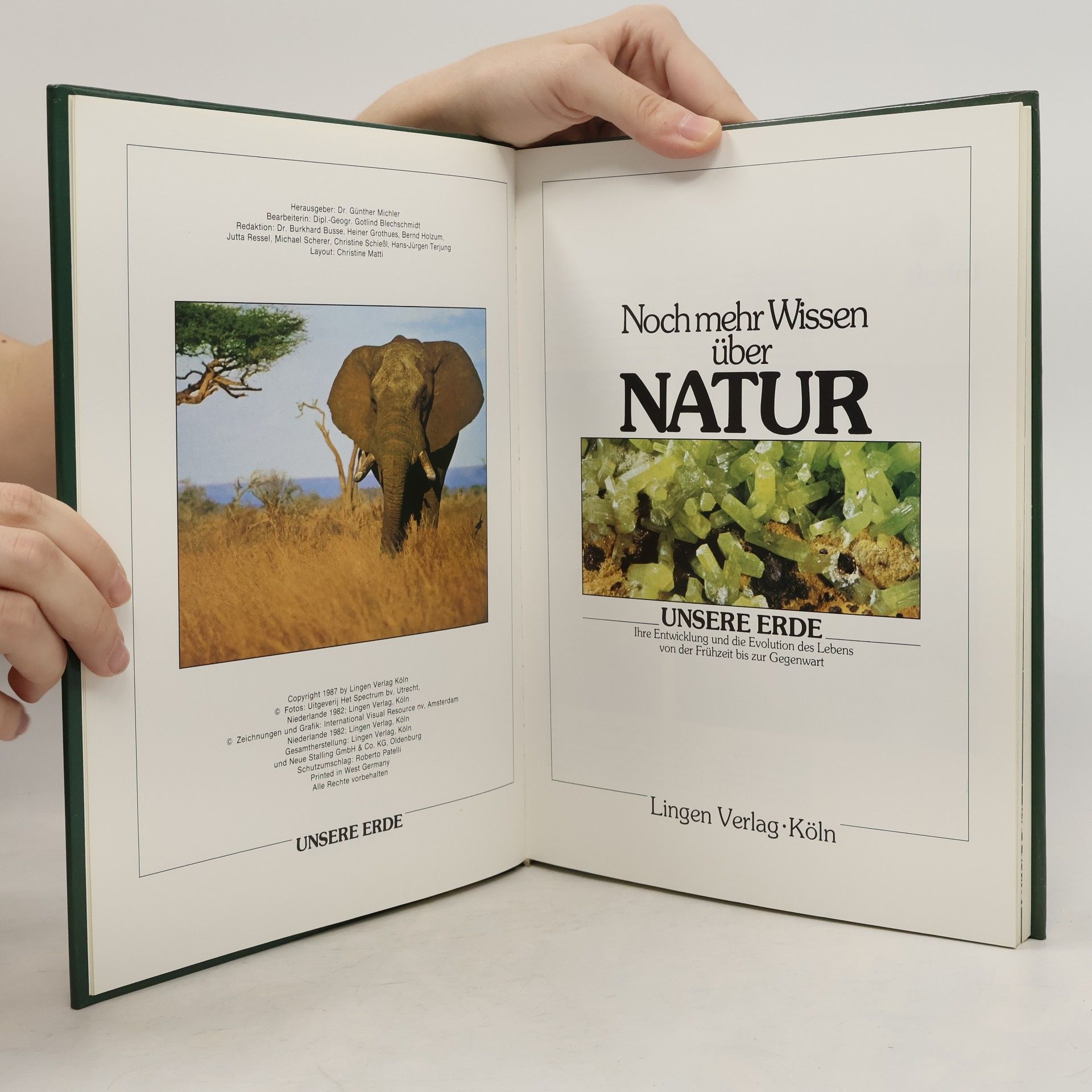Kolektiv autorů Noch mehr Wissen über Natur. Unsere Erde