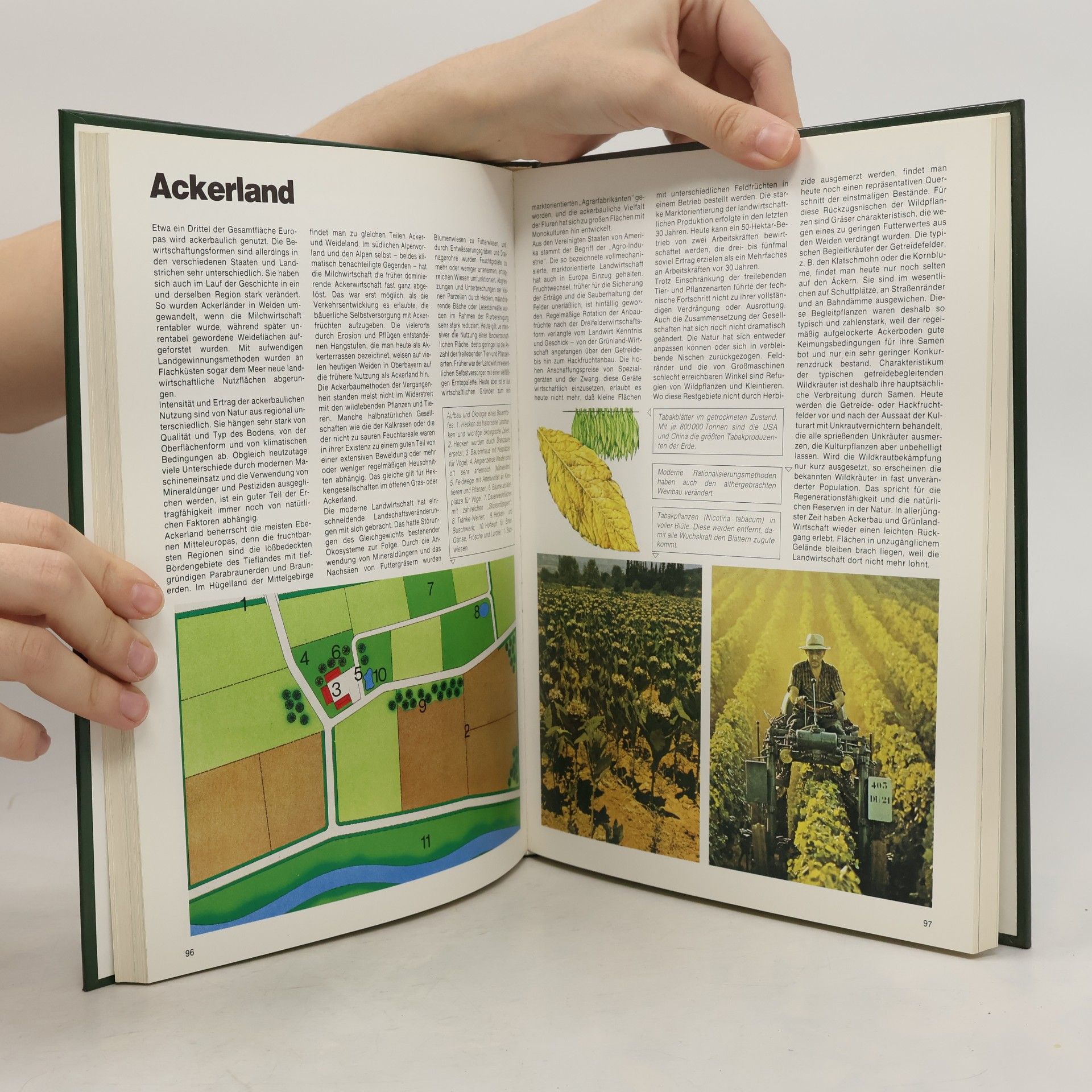 Kolektiv autorů Noch mehr Wissen über Natur. Natur und Kulturlandschaften