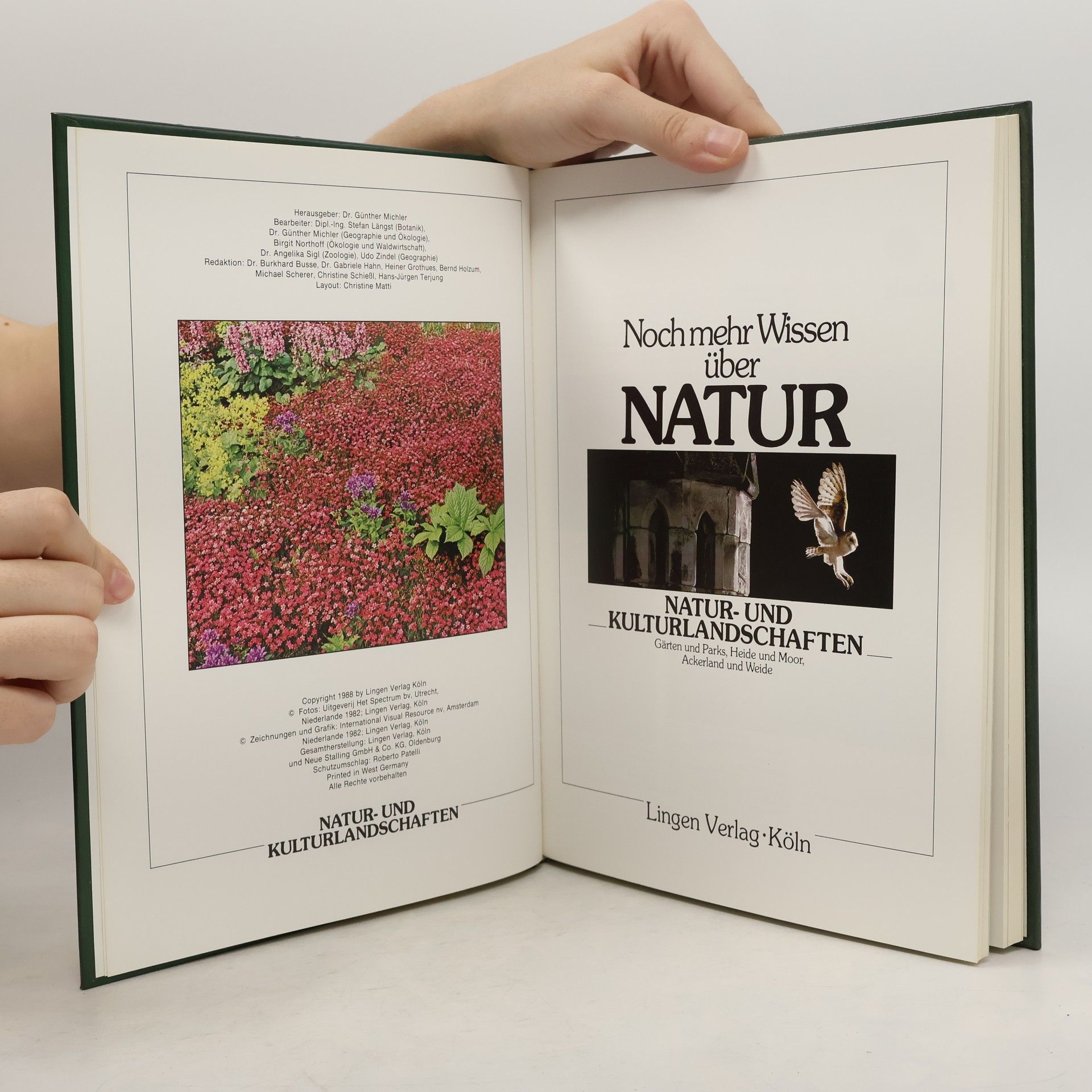 Kolektiv autorů Noch mehr Wissen über Natur. Natur und Kulturlandschaften