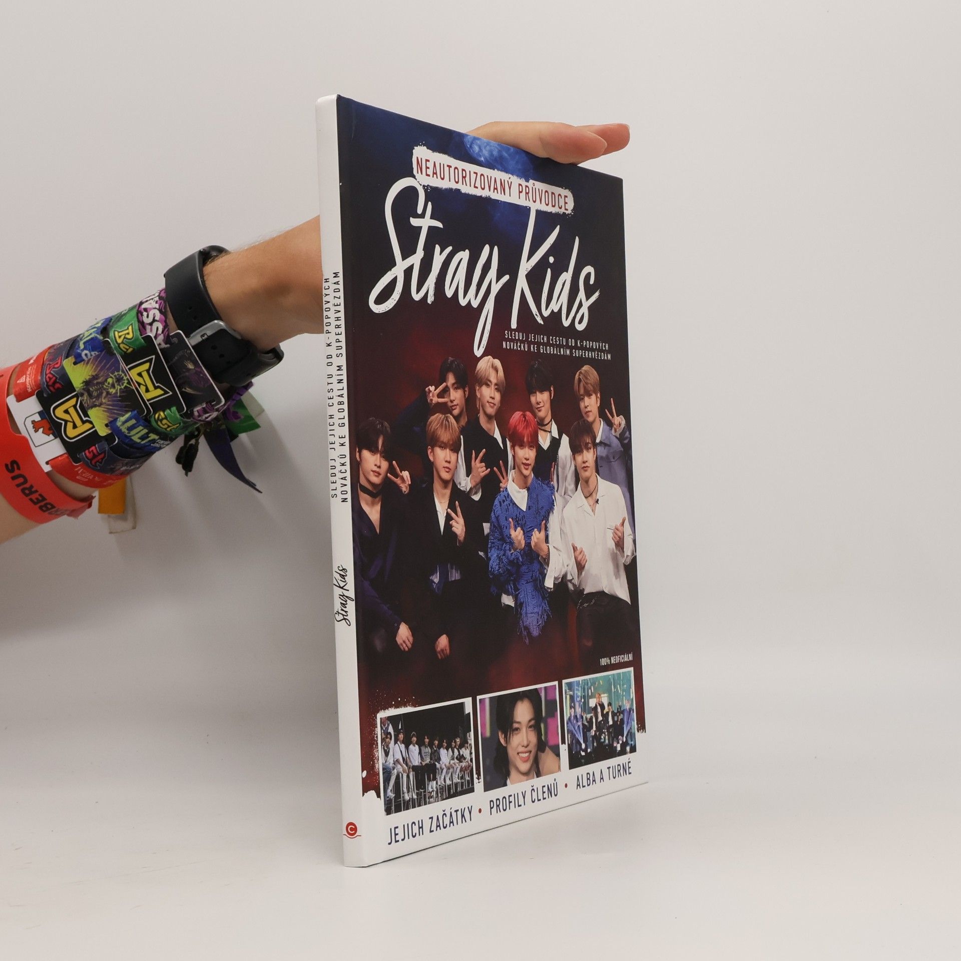 Various authors Stray Kids
