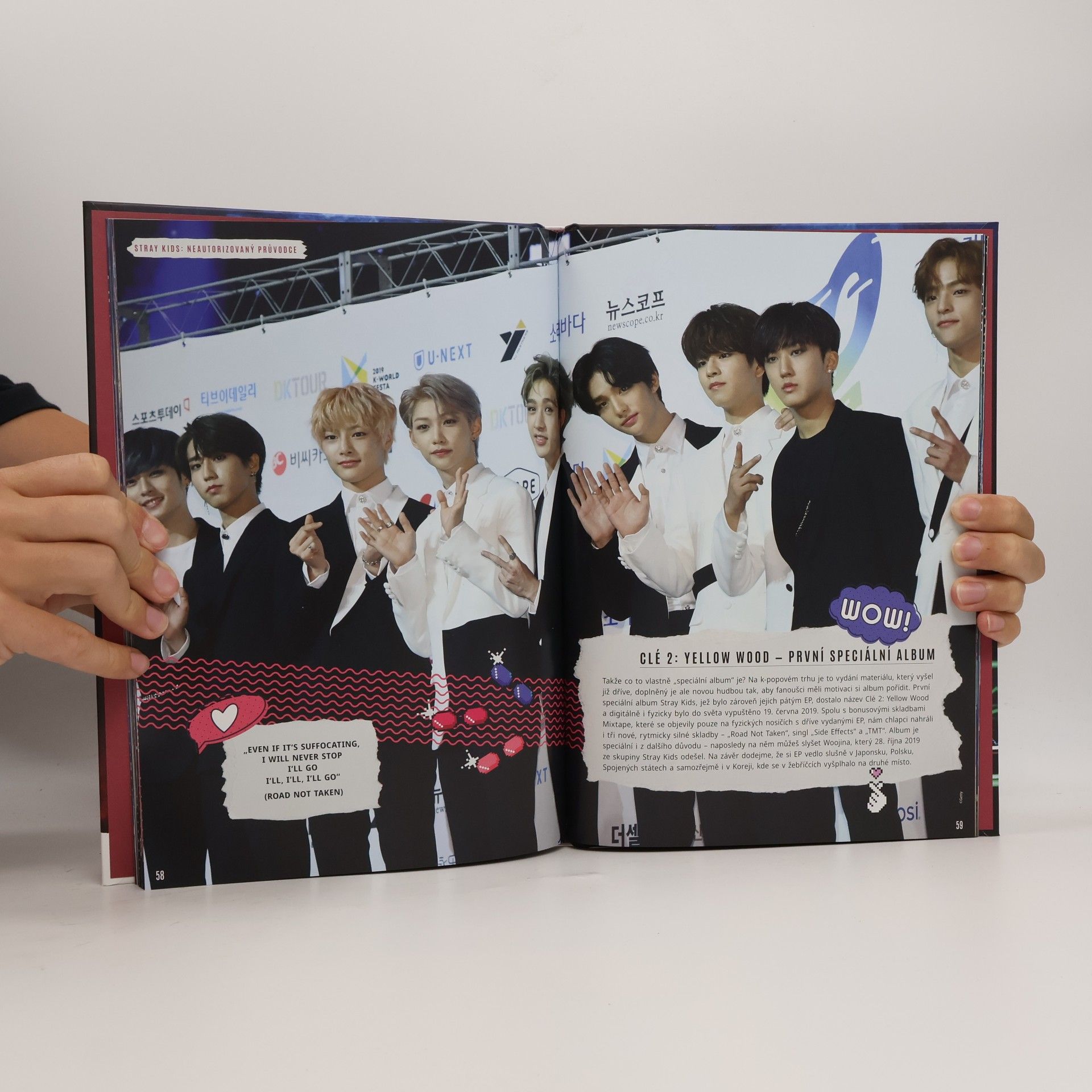 Various authors Stray Kids