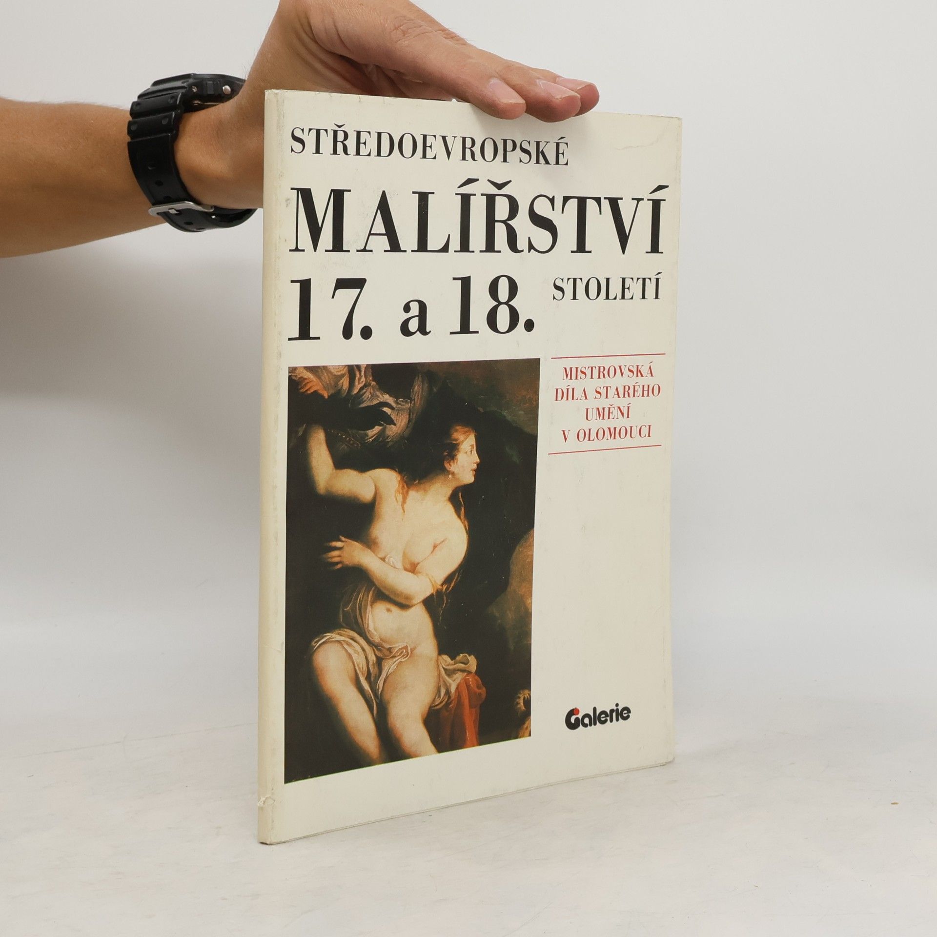 Various authors Středoevropské malířství 17. a 18. století