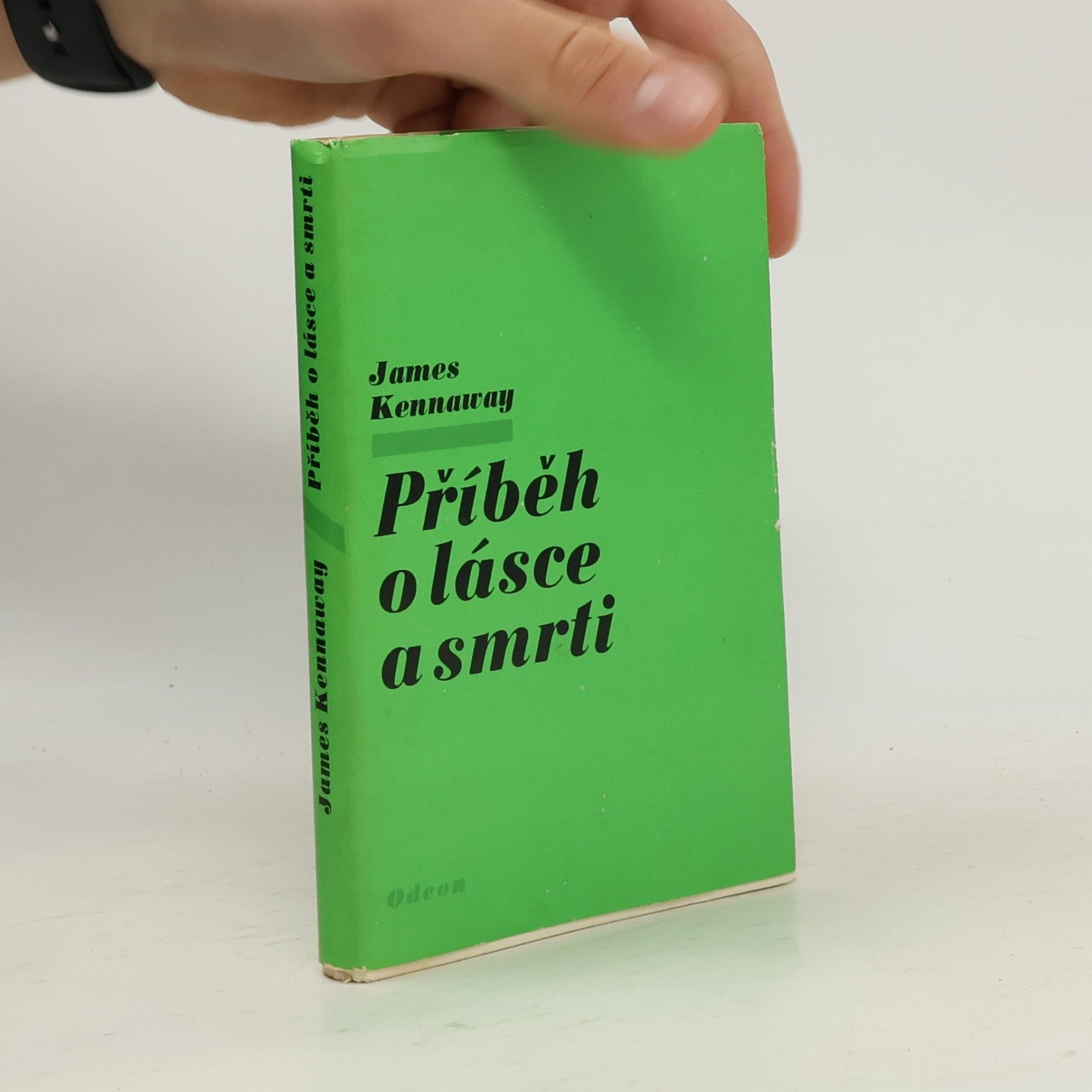 Příběh o lásce a smrti