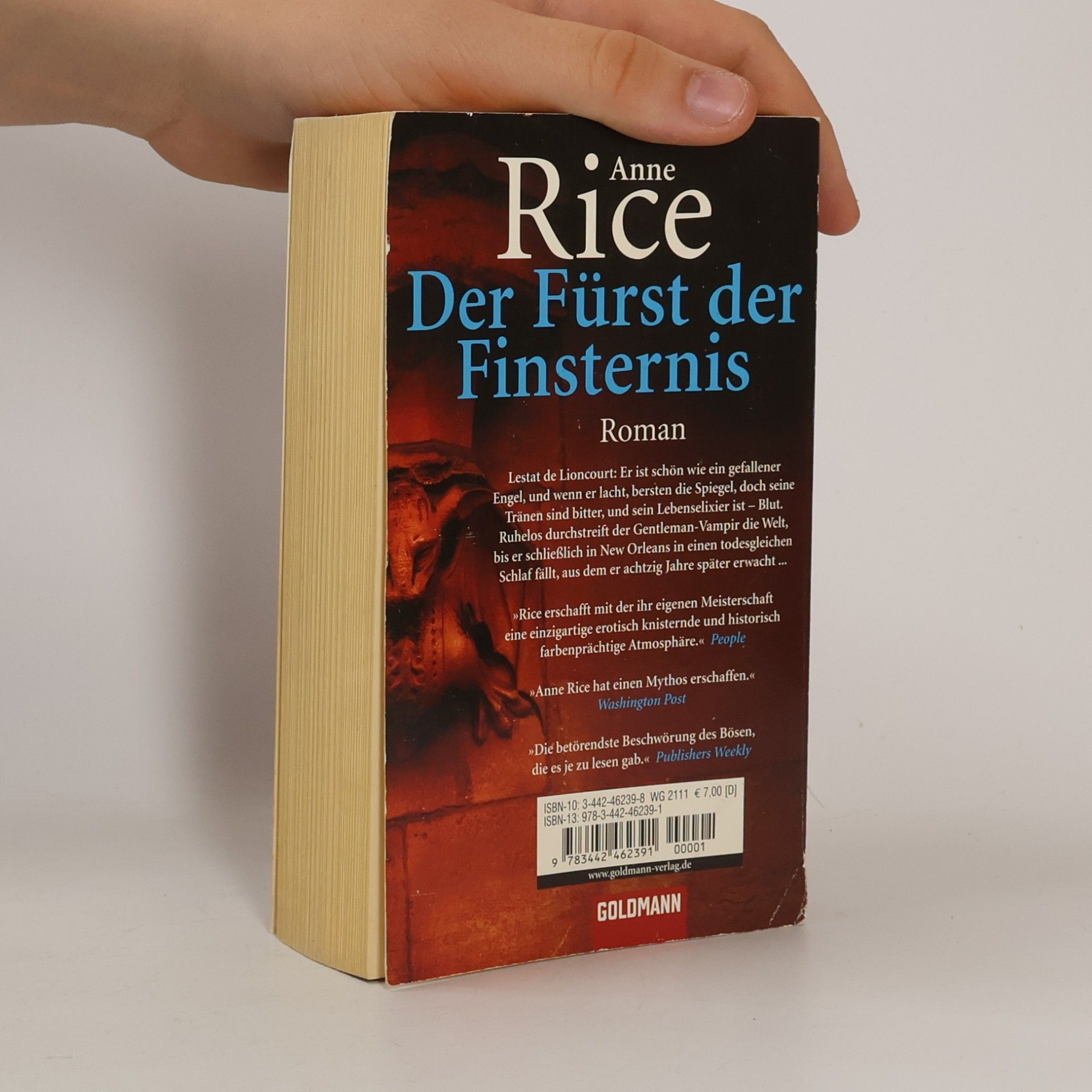 Anne Rice Der Fürst der Finsternis