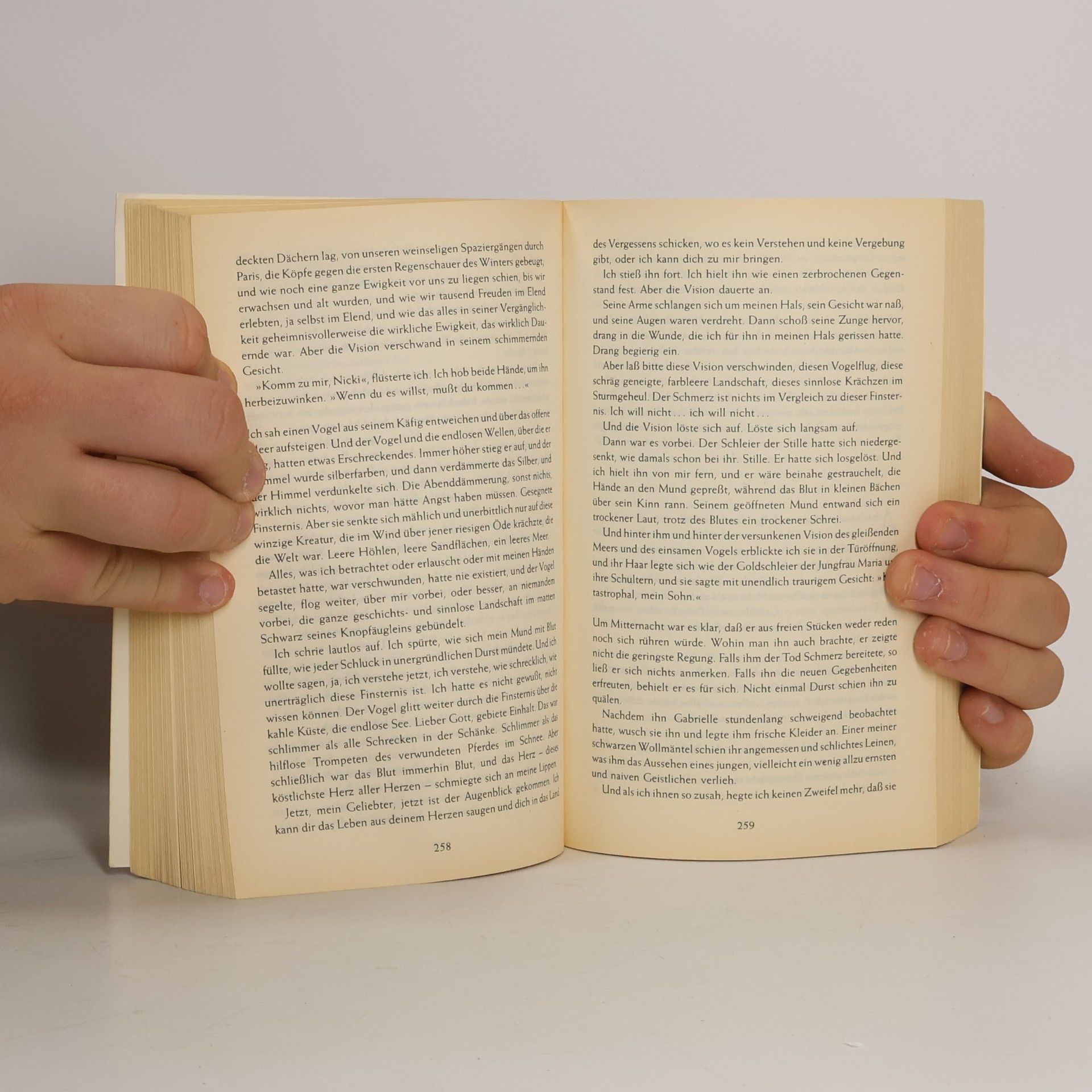 Anne Rice Der Fürst der Finsternis