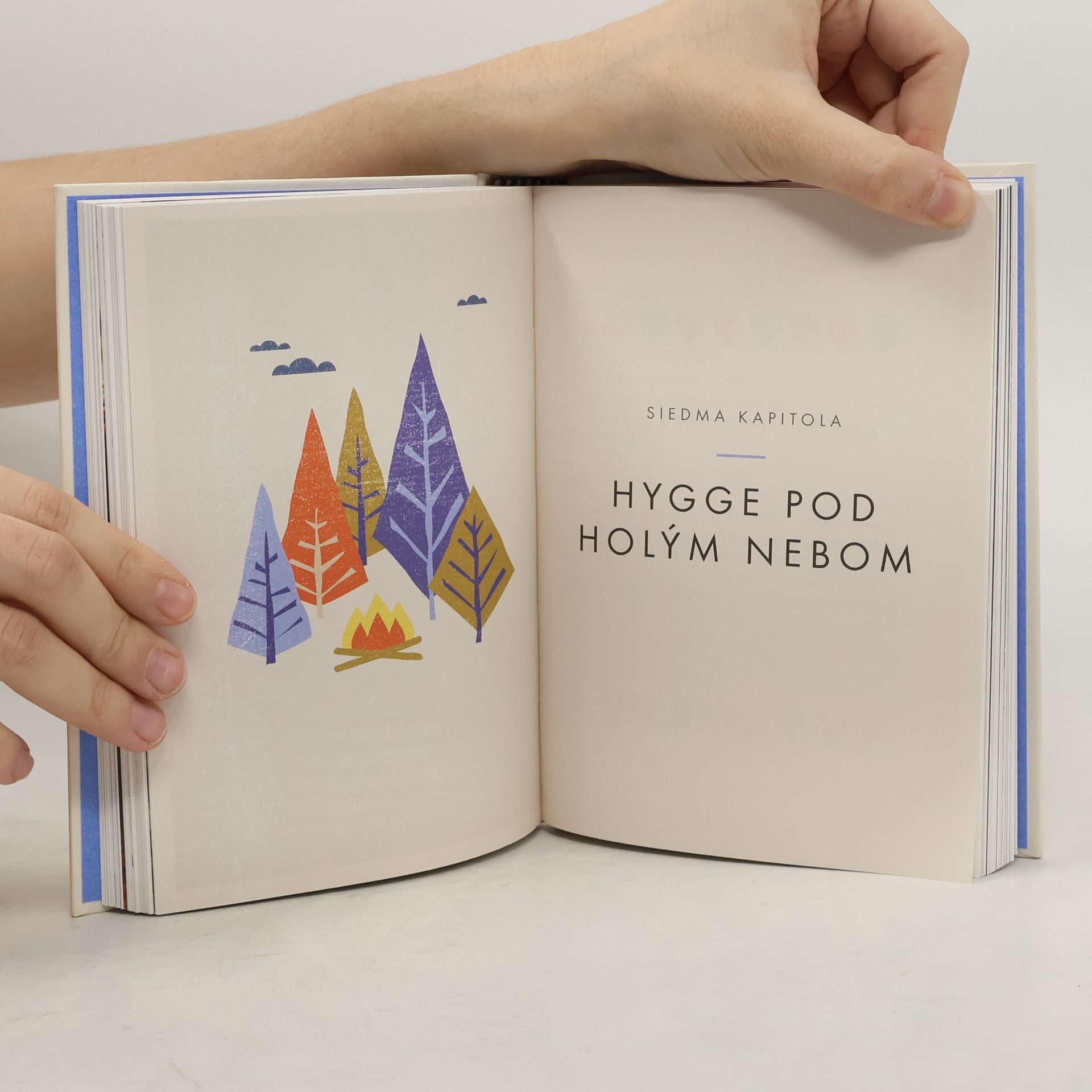 Meik Wiking Malá kniha hygge