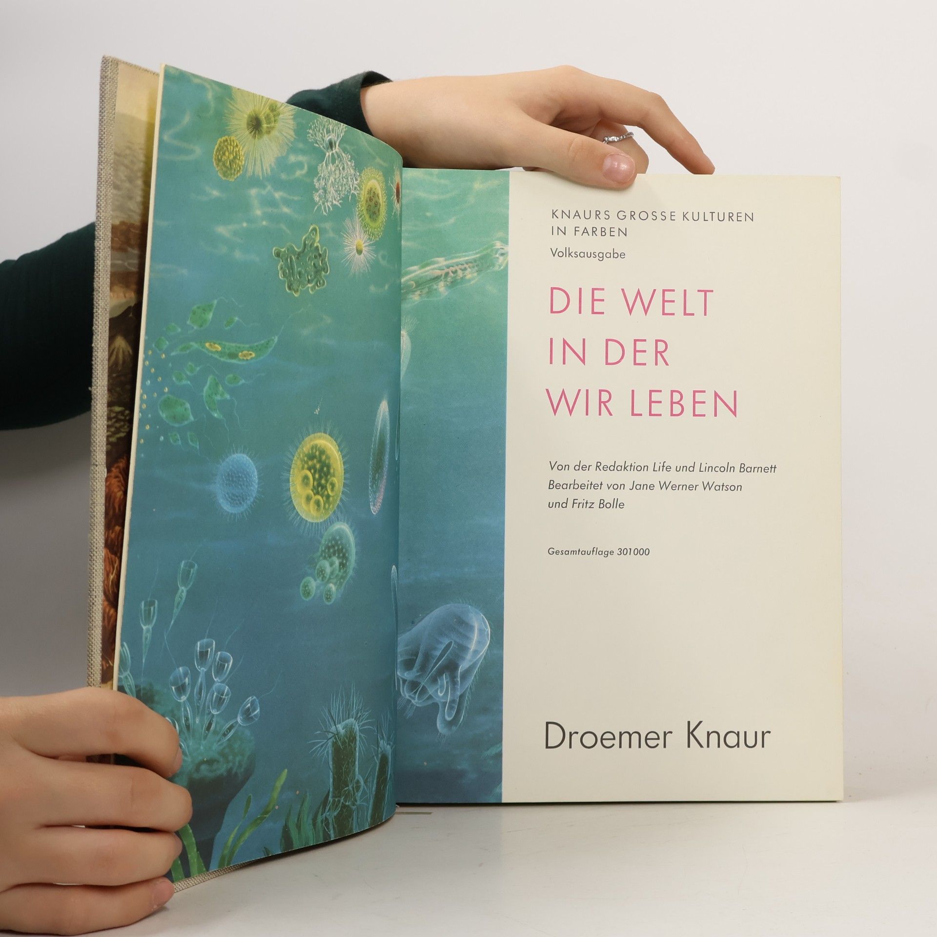 Lincoln Barnett Die Welt in der wir leben