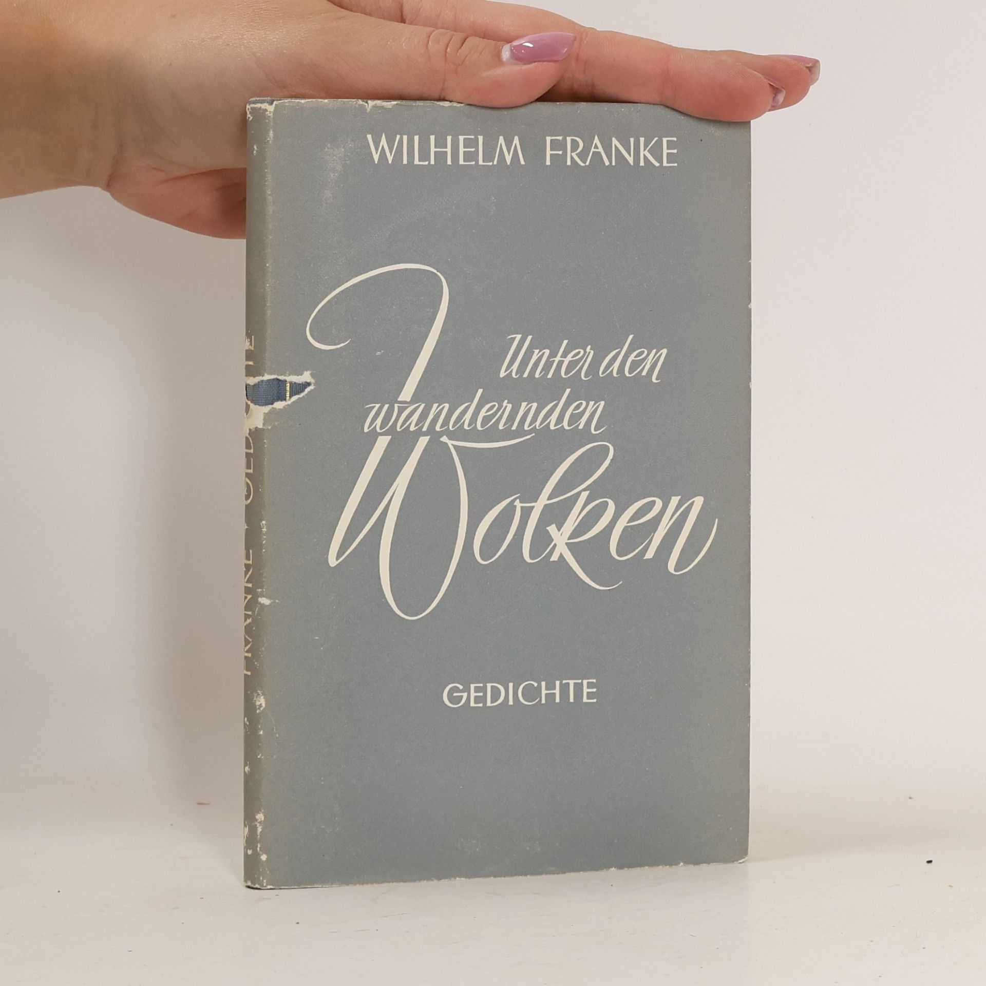 Wilhelm Franke Unter den wandernden wolken. Gedichte.