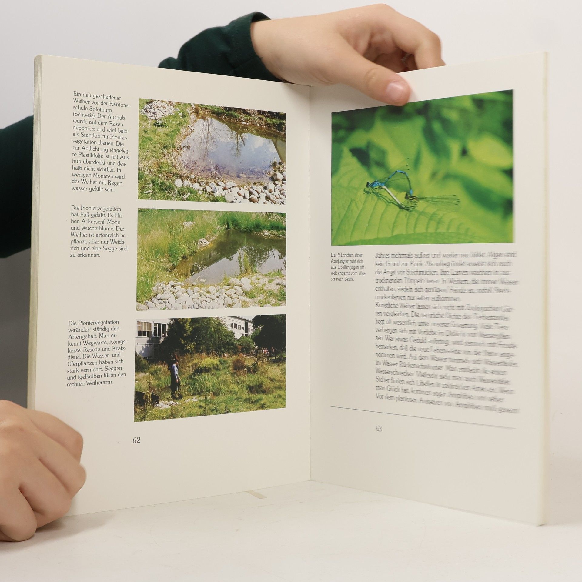 Urs Schwartz Der Naturgarten