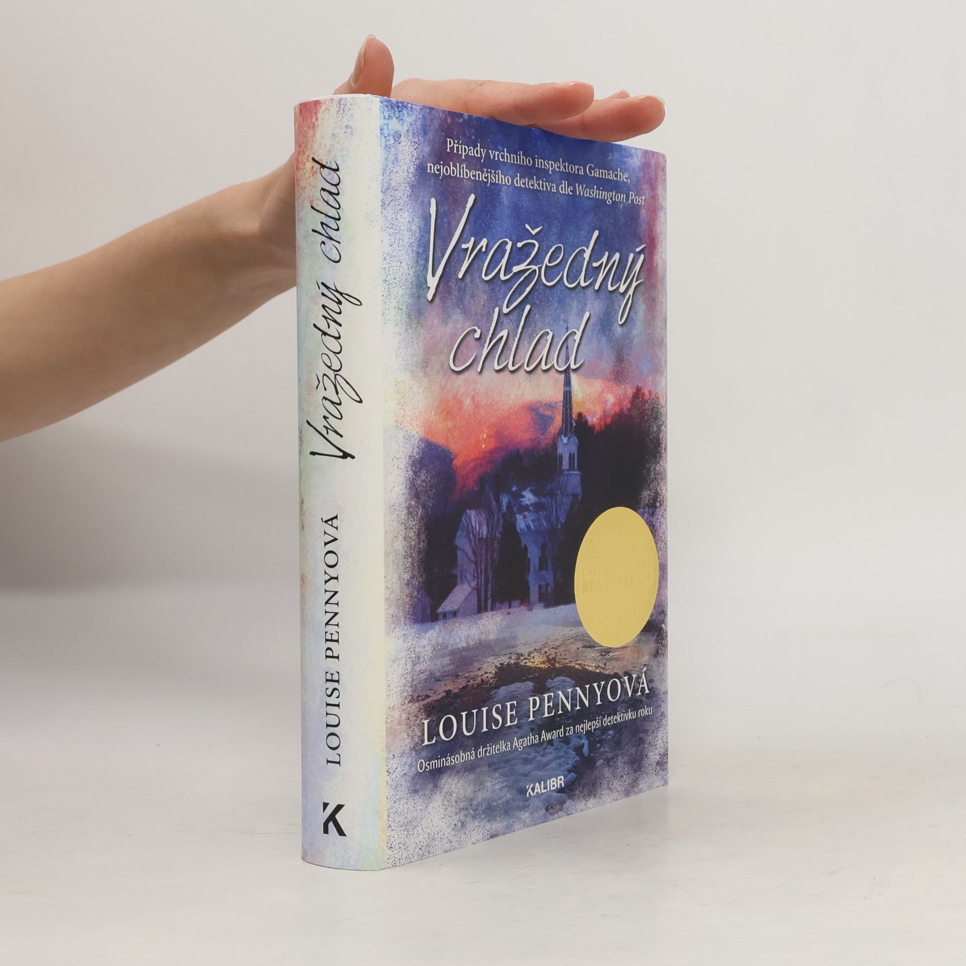 Louise Penny Vražedný chlad