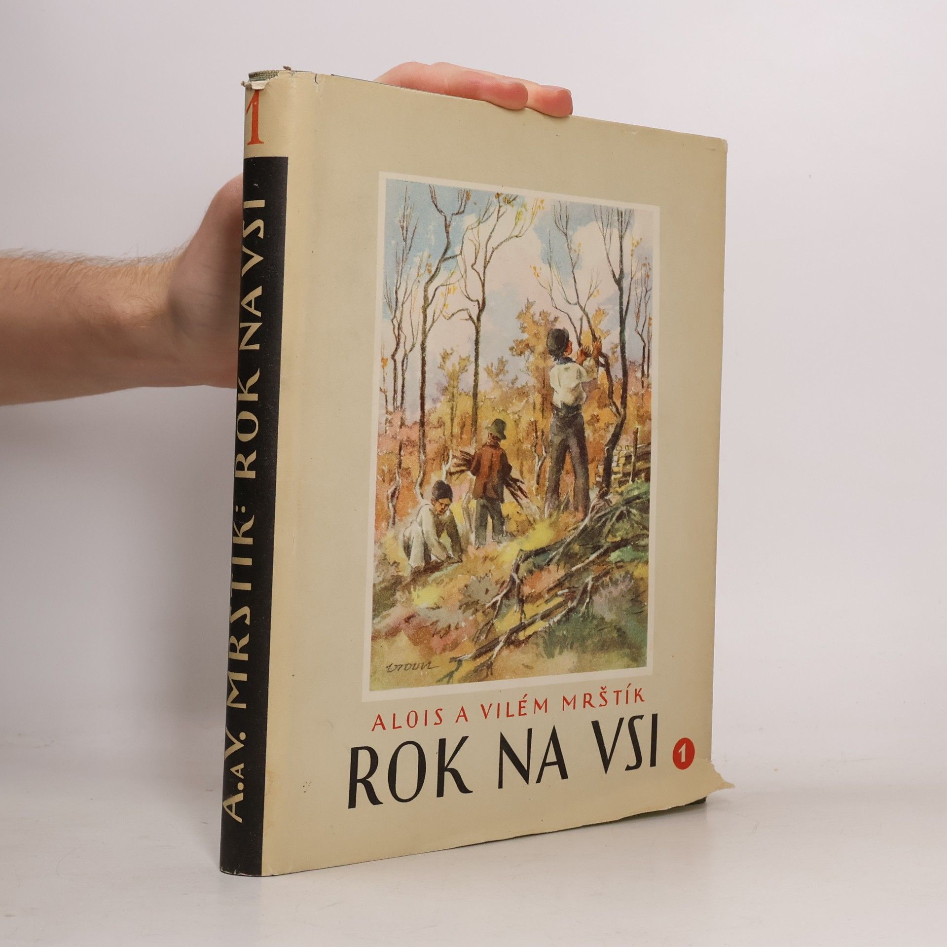 Rok na vsi 1
