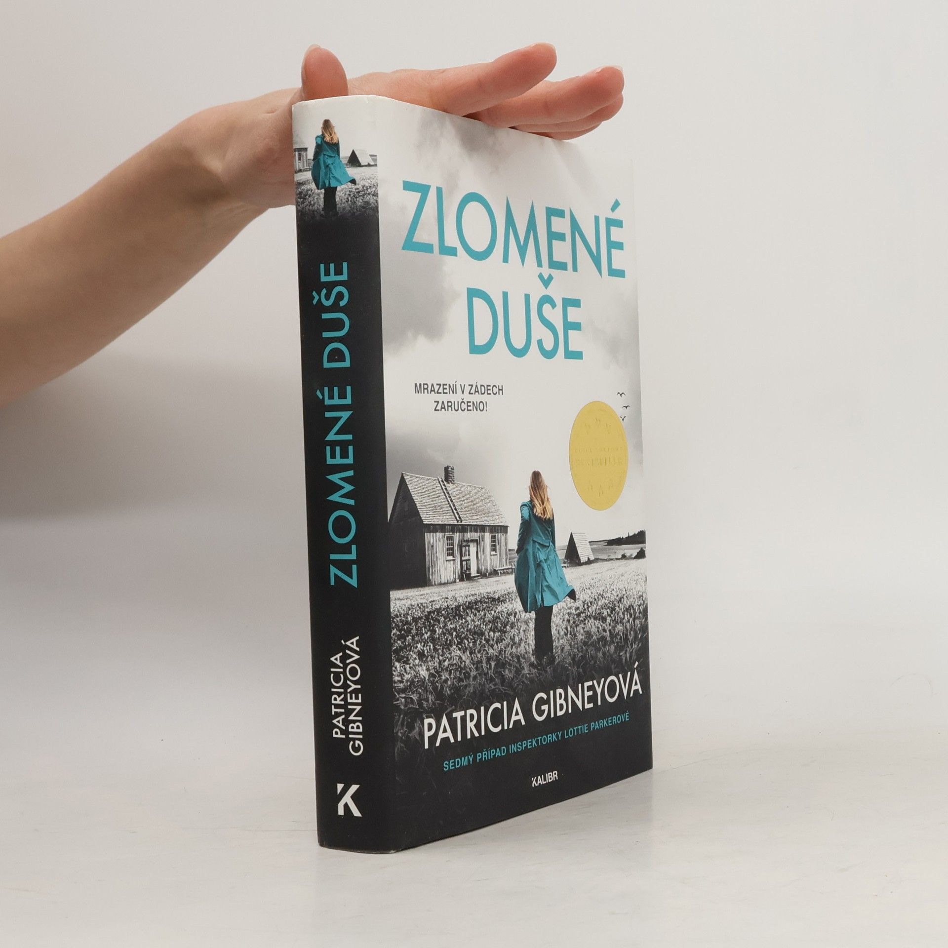 Patricia Gibney Zlomené Duše