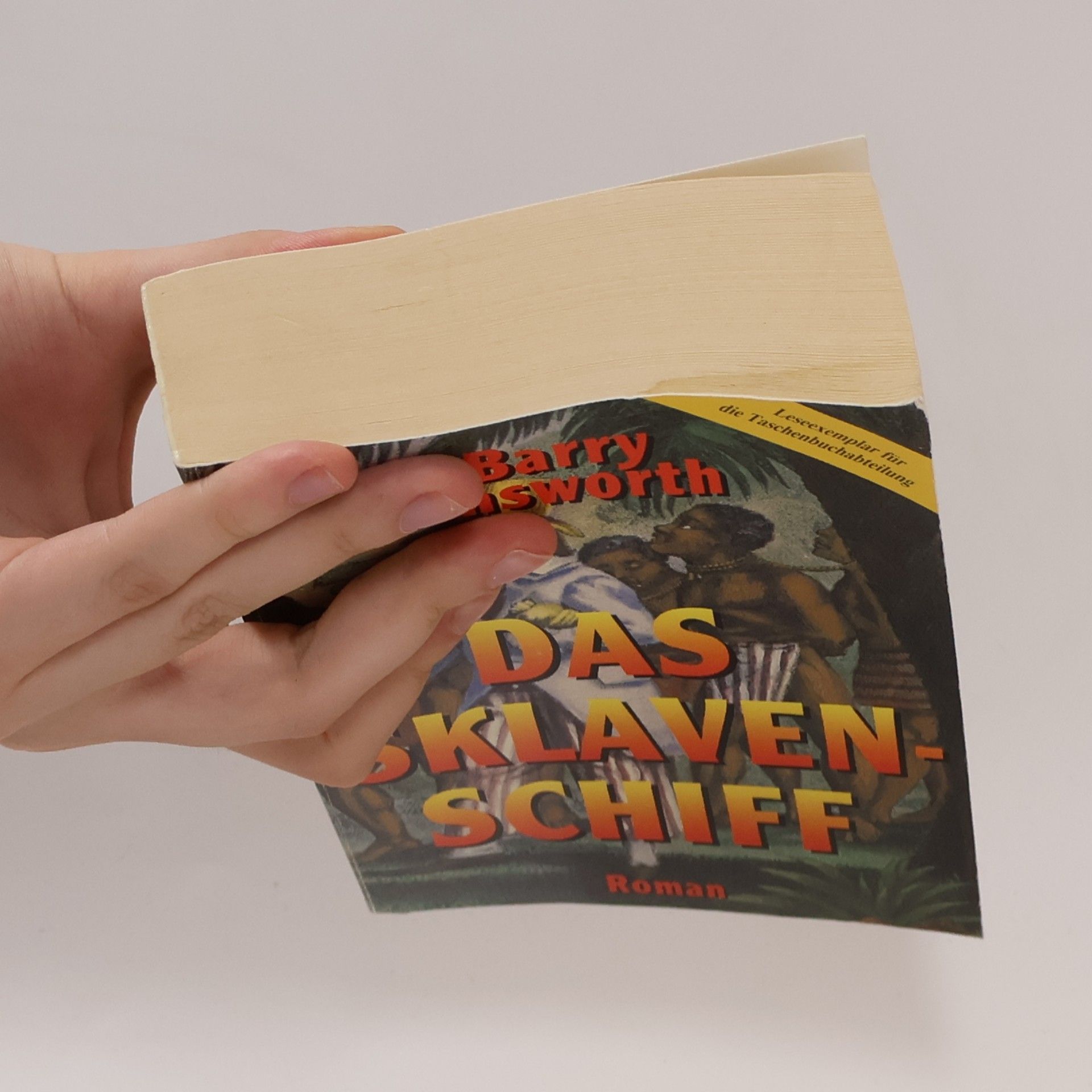 Barry Unsworth Das Sklavenschiff
