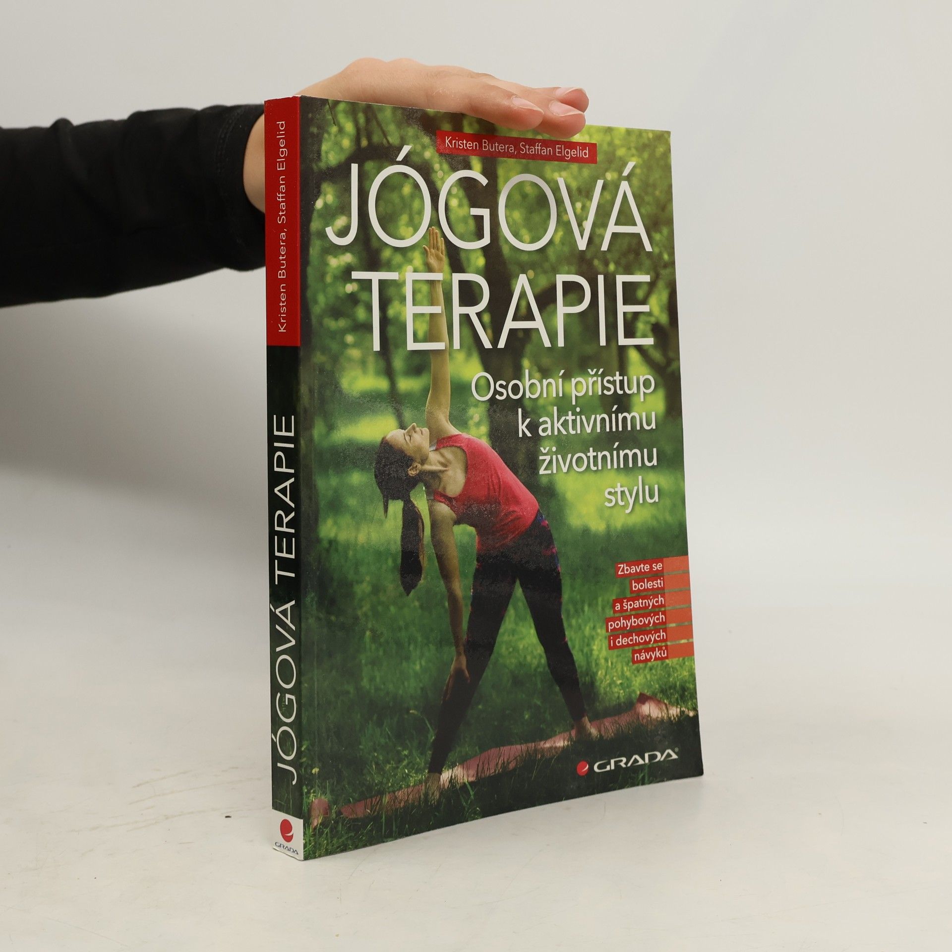 Staffan Elglid Jógová terapie