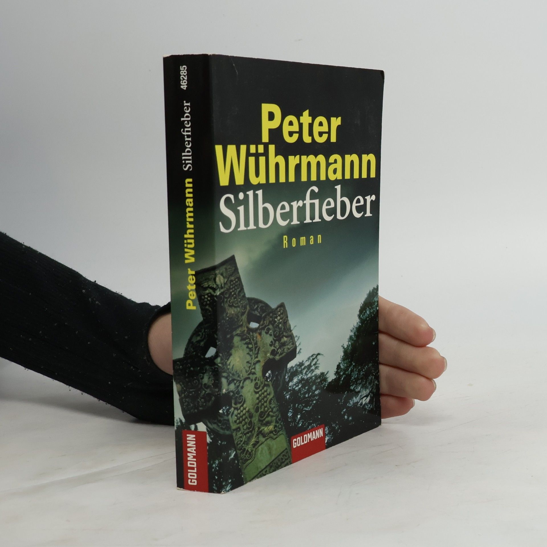 Peter Wührmann Silberfieber. Roman