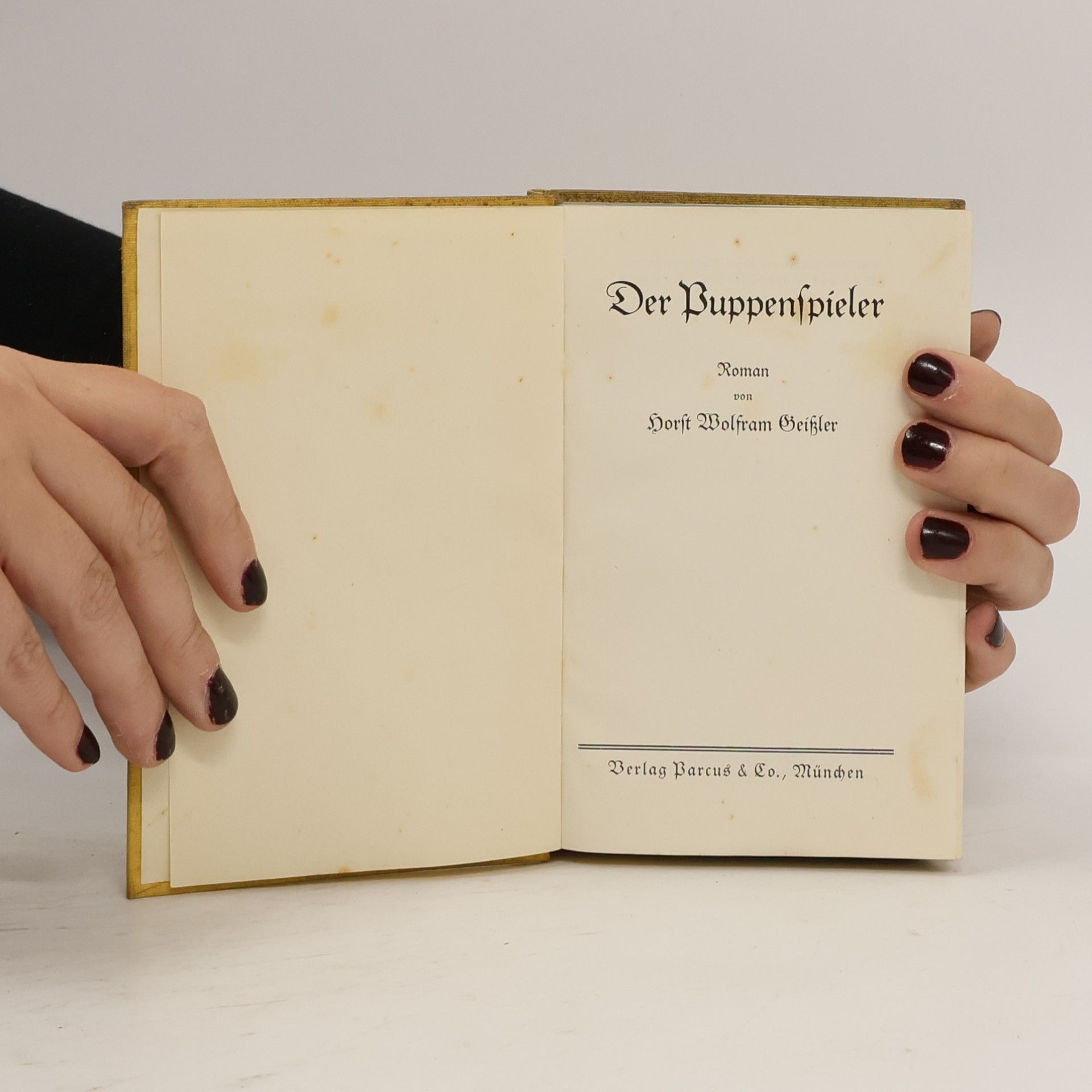 Horst Wolfram Geißler Der Puppenspieler