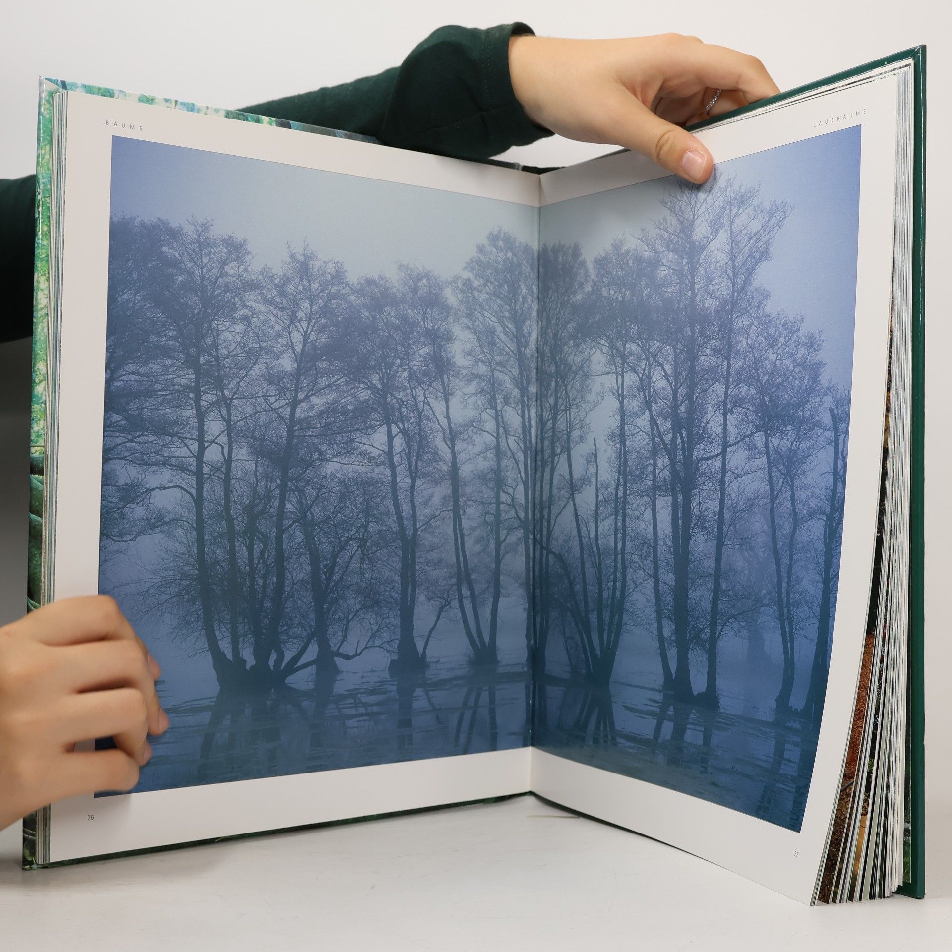 Jenny Linford Wunder der Welt - Bäume