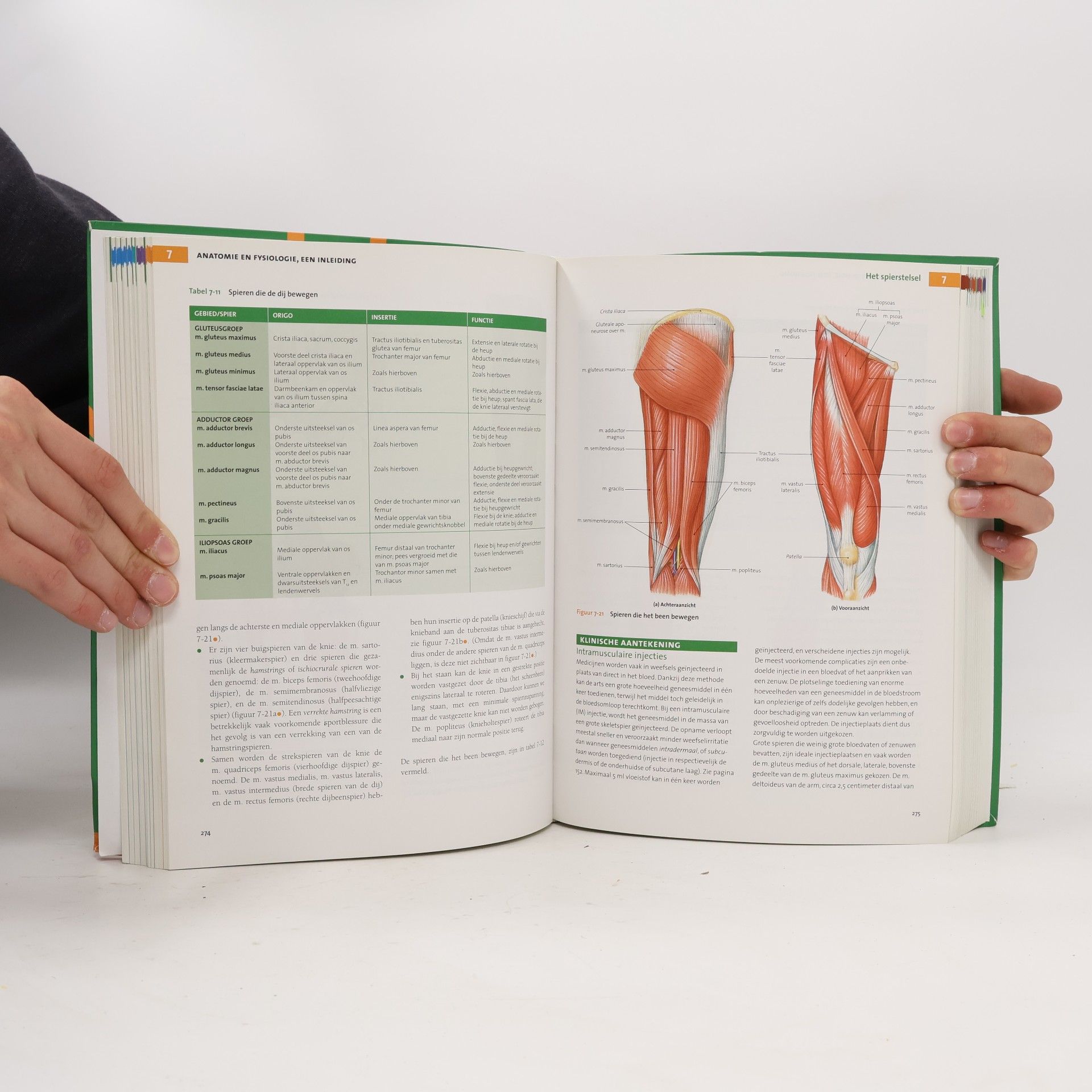 Frederic H. Martini Anatomie en Fysiologie: Een Inleiding