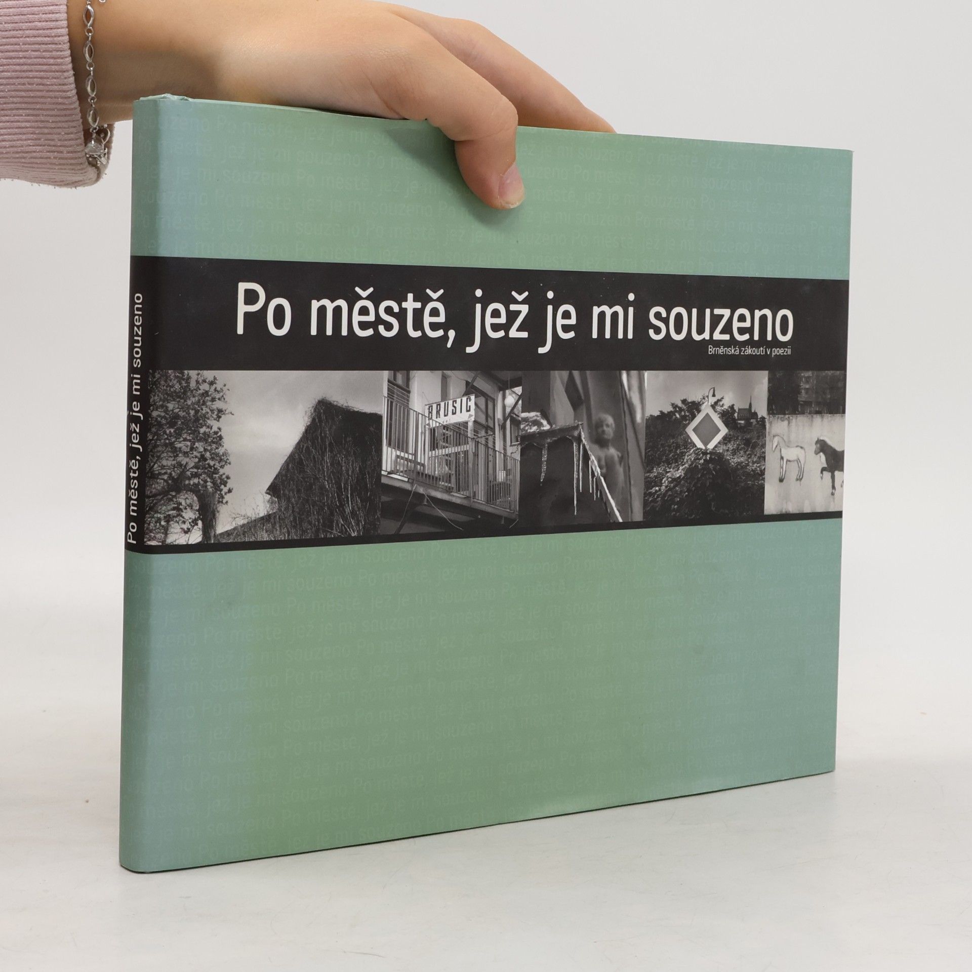 Po městě, jež je mi souzeno