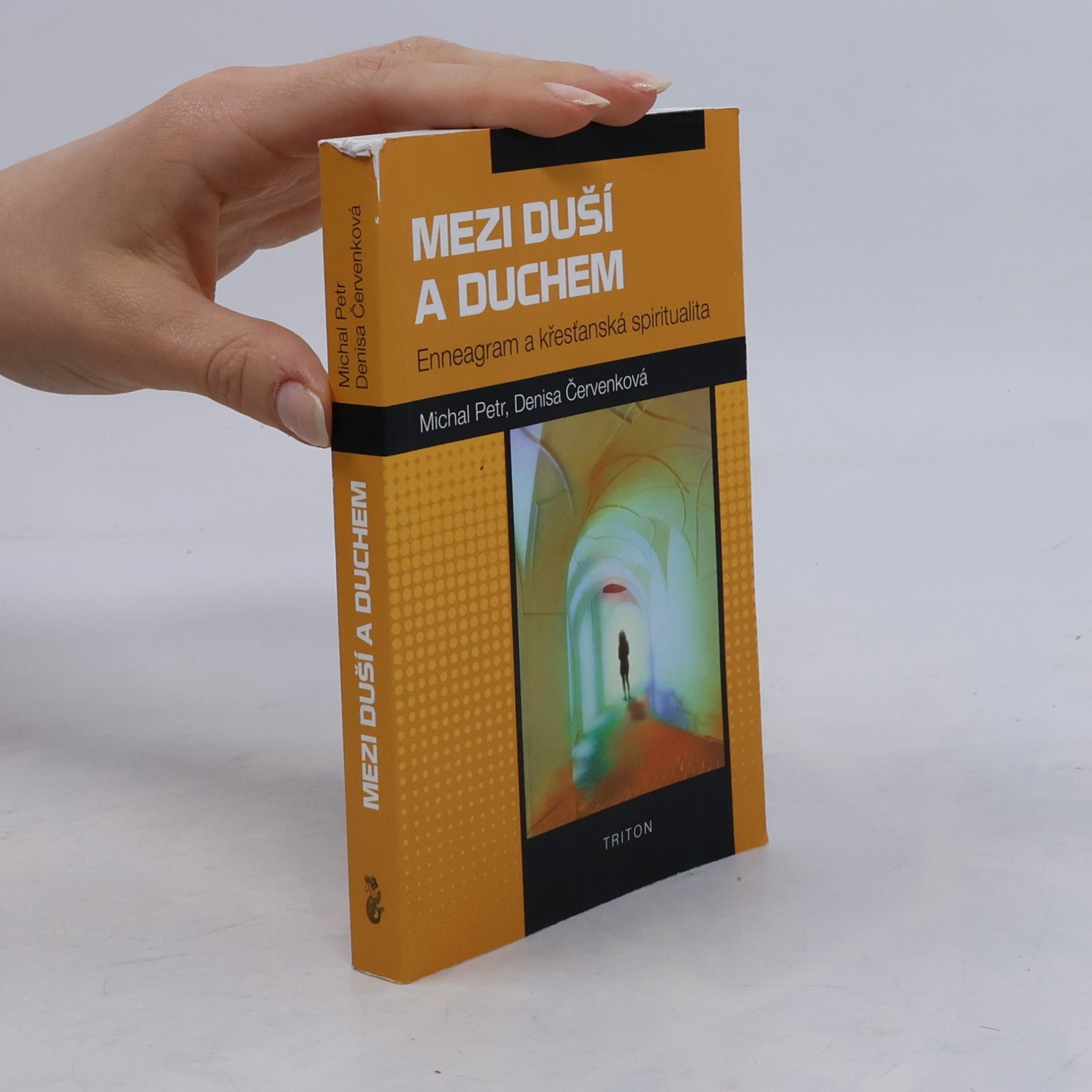 Michal Petr Mezi duší a duchem. Enneagram a křesťanská spiritualita.
