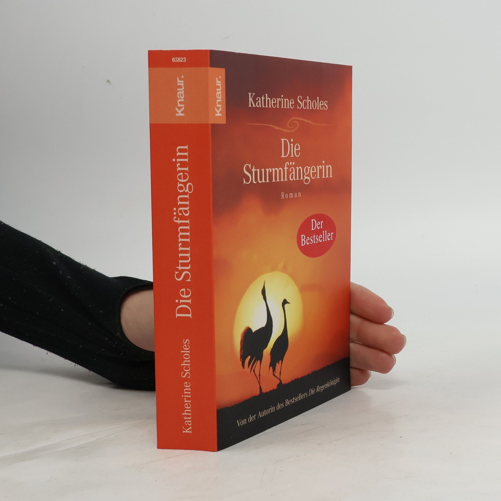 Katherine Scholes Die Sturmfängerin